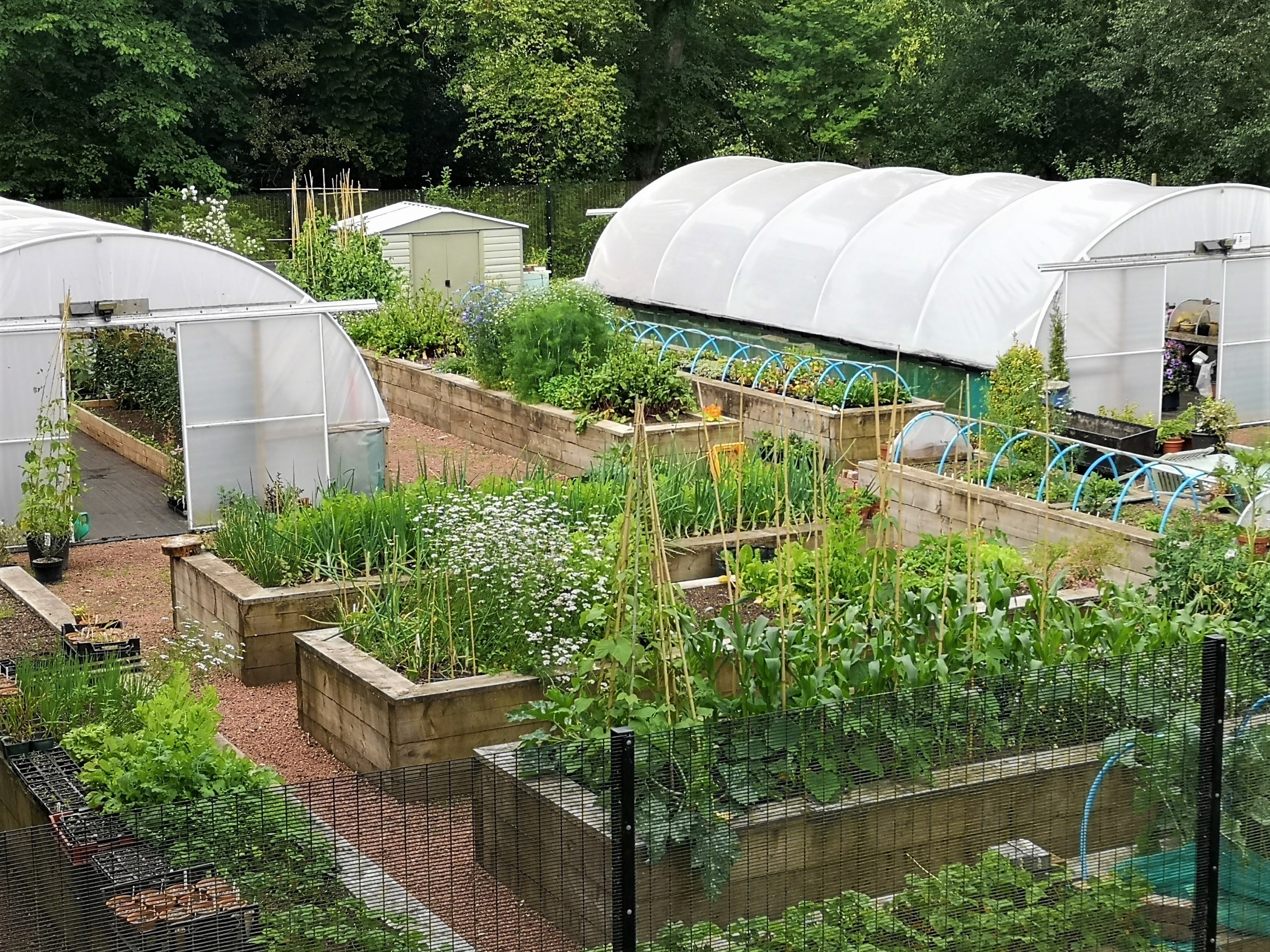 Photo of Castlebank Horticultural Centre, The Classroom