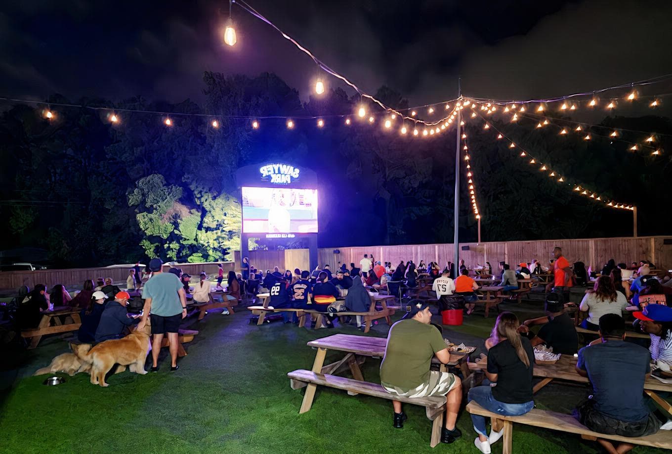 Turf, Sawyer Park Ice House photo #1