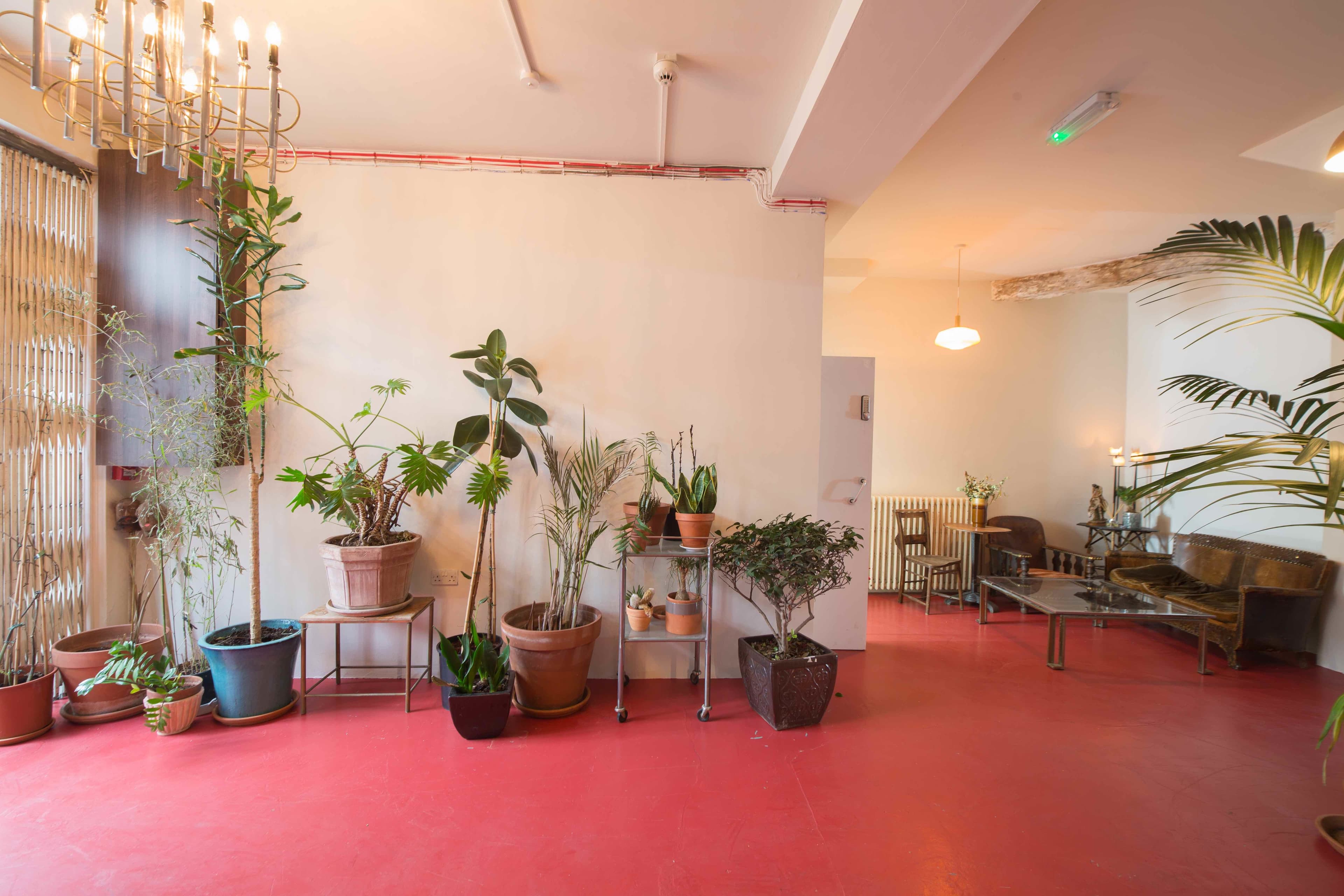 Apiary Studios, Entrance/reception photo #2