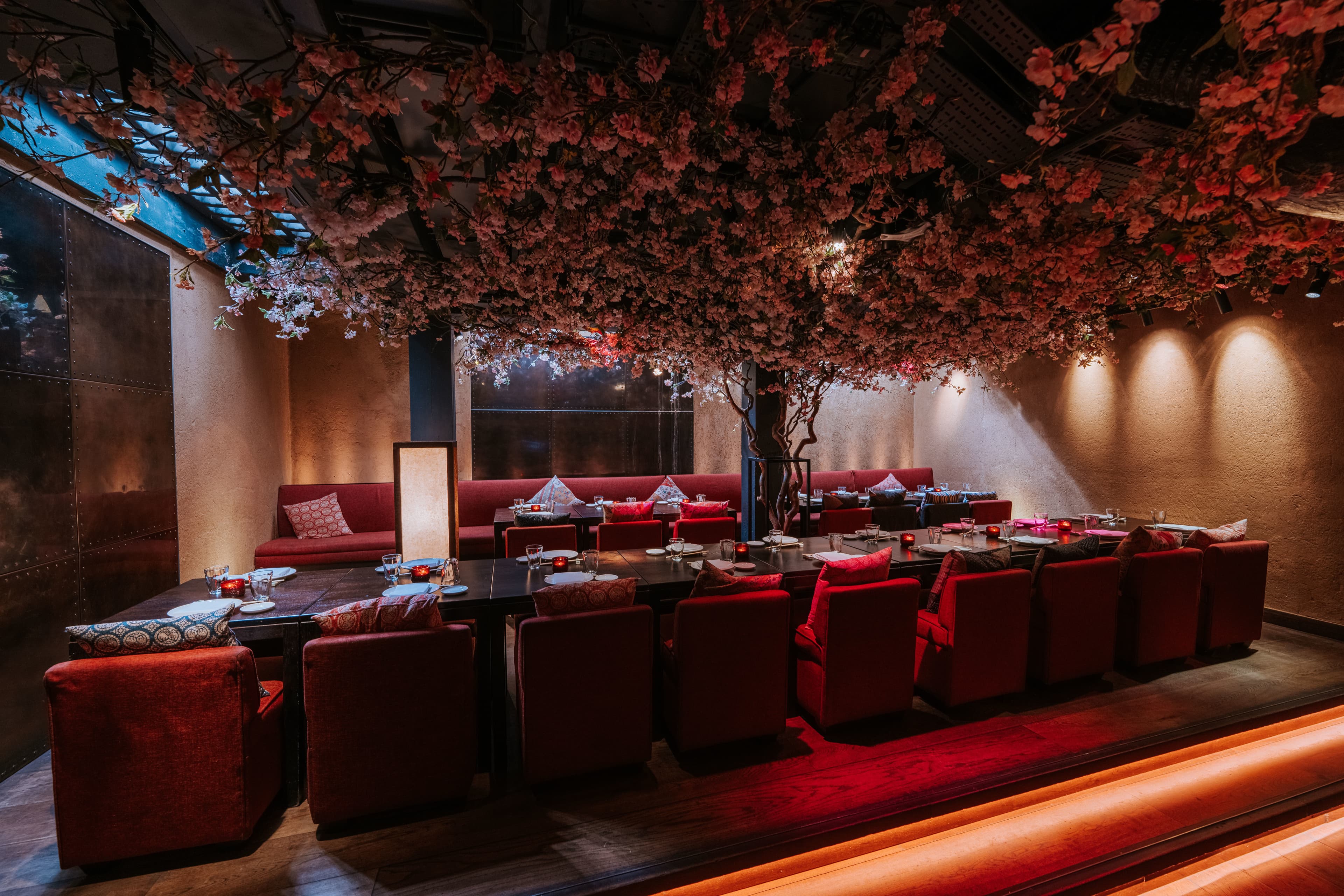 Roka Charlotte Street photo #2