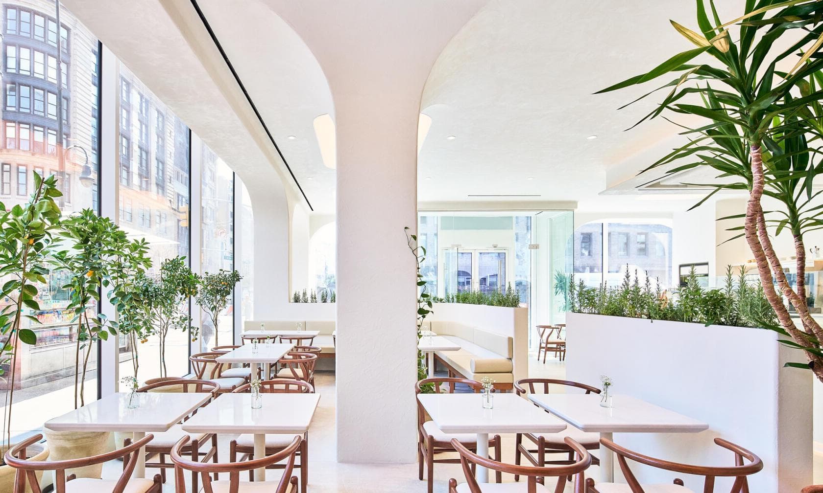 Cafe & Vegetable Garden, OASES photo #1