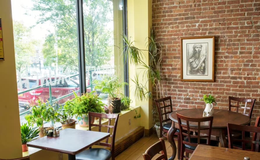 Photo of Home Sweet Harlem