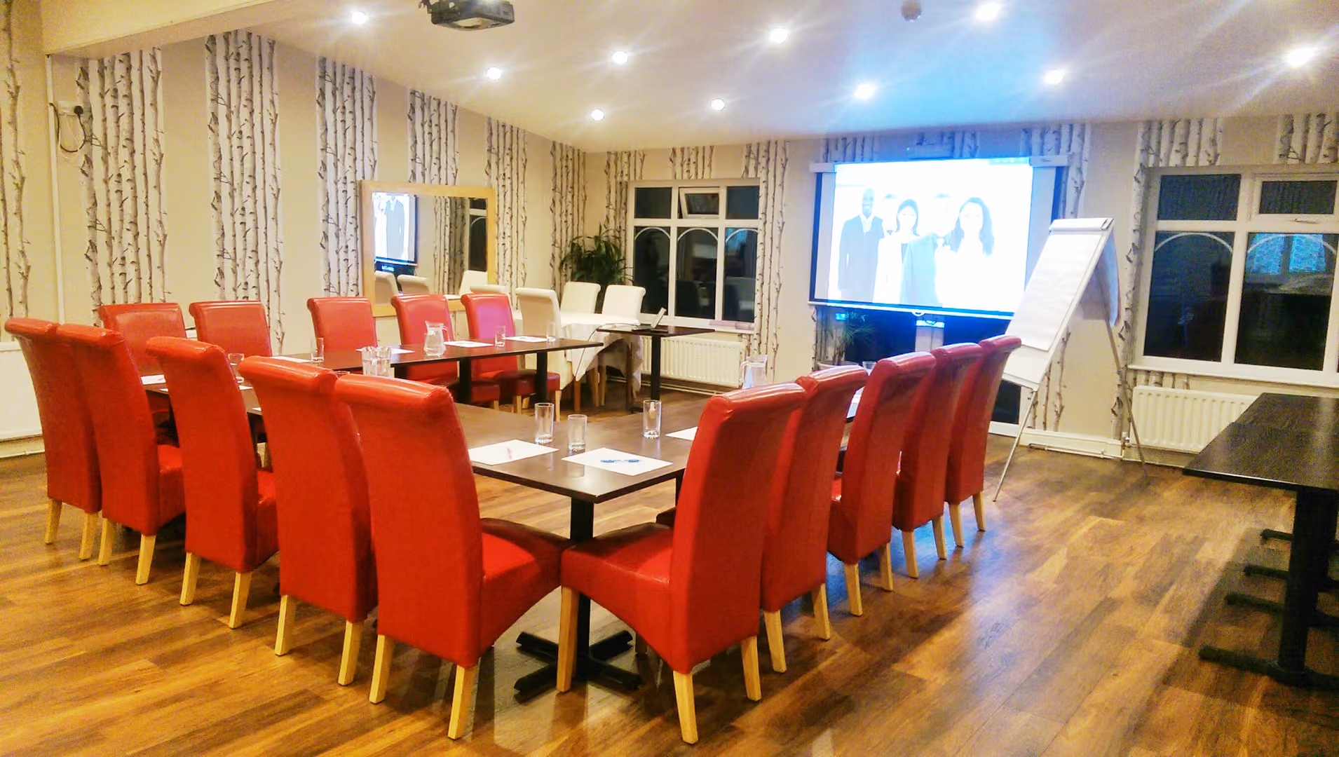 Large Meeting Room, Avis Hotel photo #3