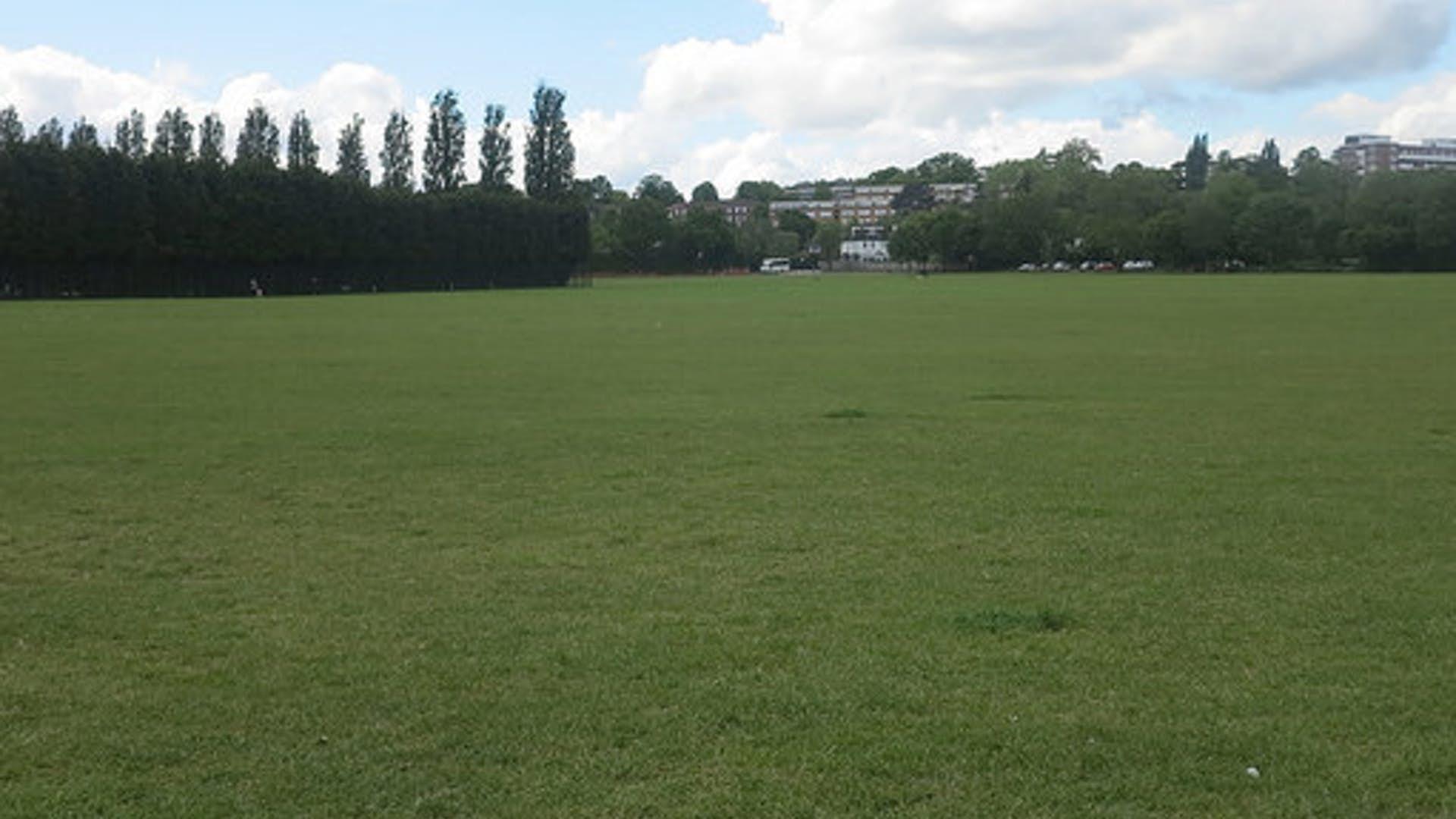 Wimbledon Park, Main Field photo #1