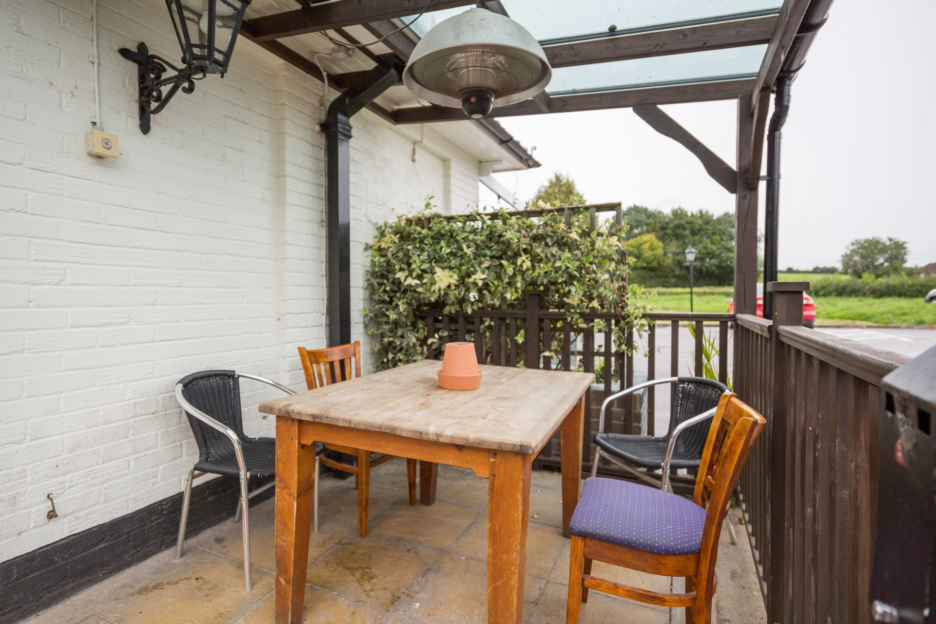 Photo of King Charles, Garden