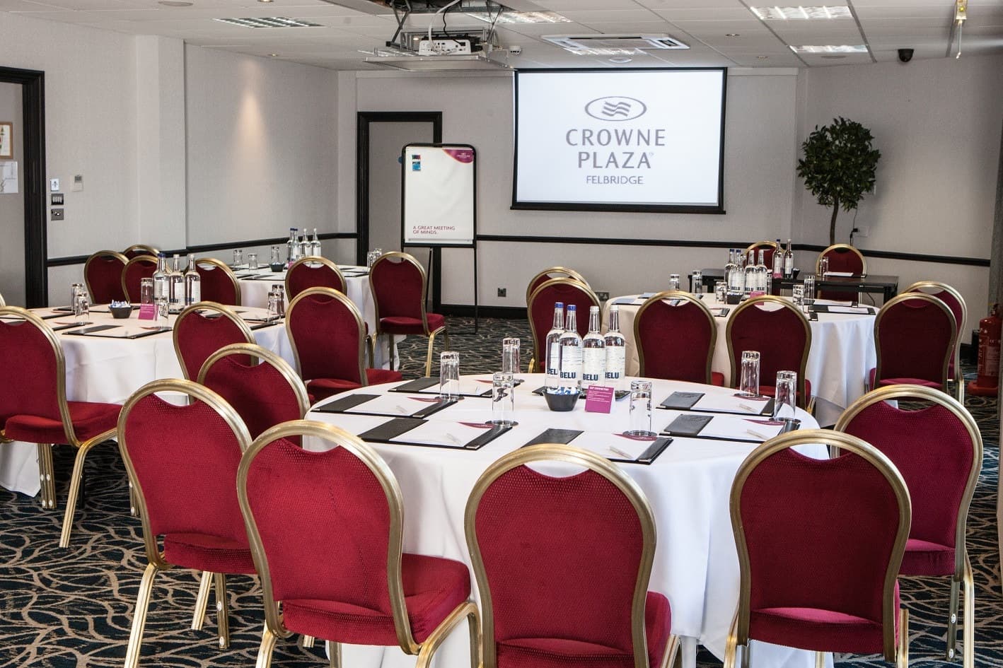Sycamore Suite, Crowne Plaza Felbridge-gatwick photo #1
