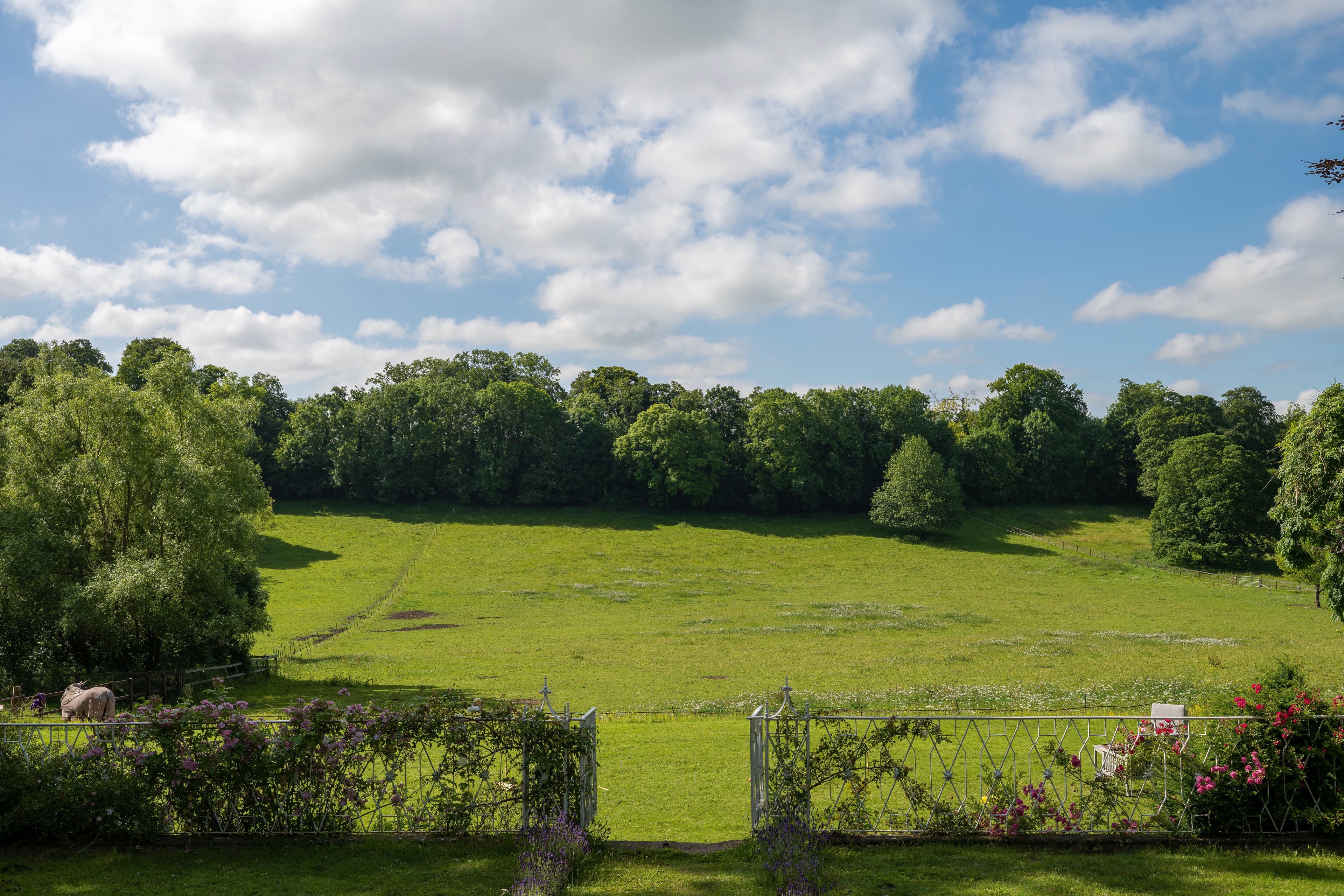 Exclusive Hire, Henge Estate photo #37