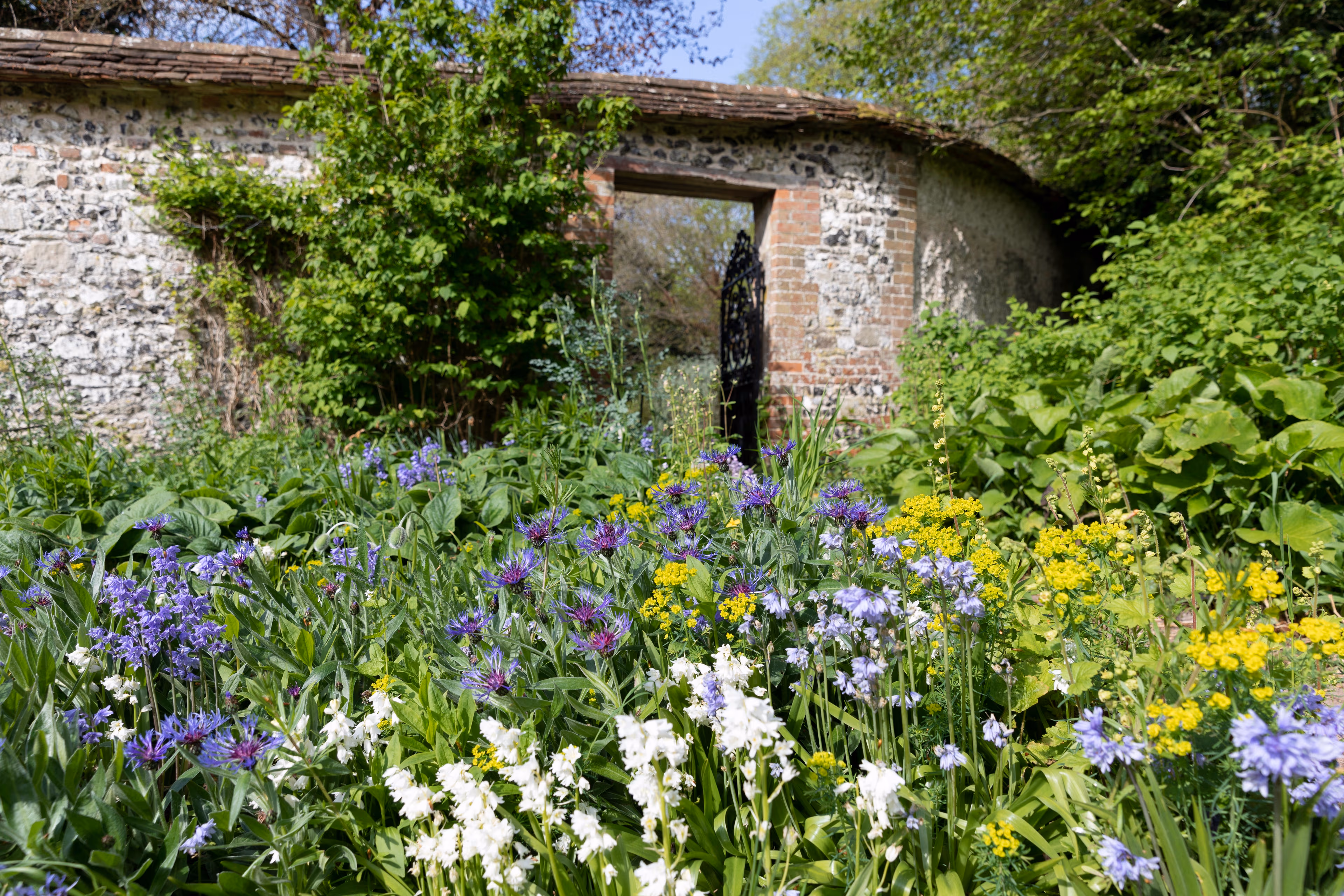 Exclusive Hire, Henge Estate photo #35