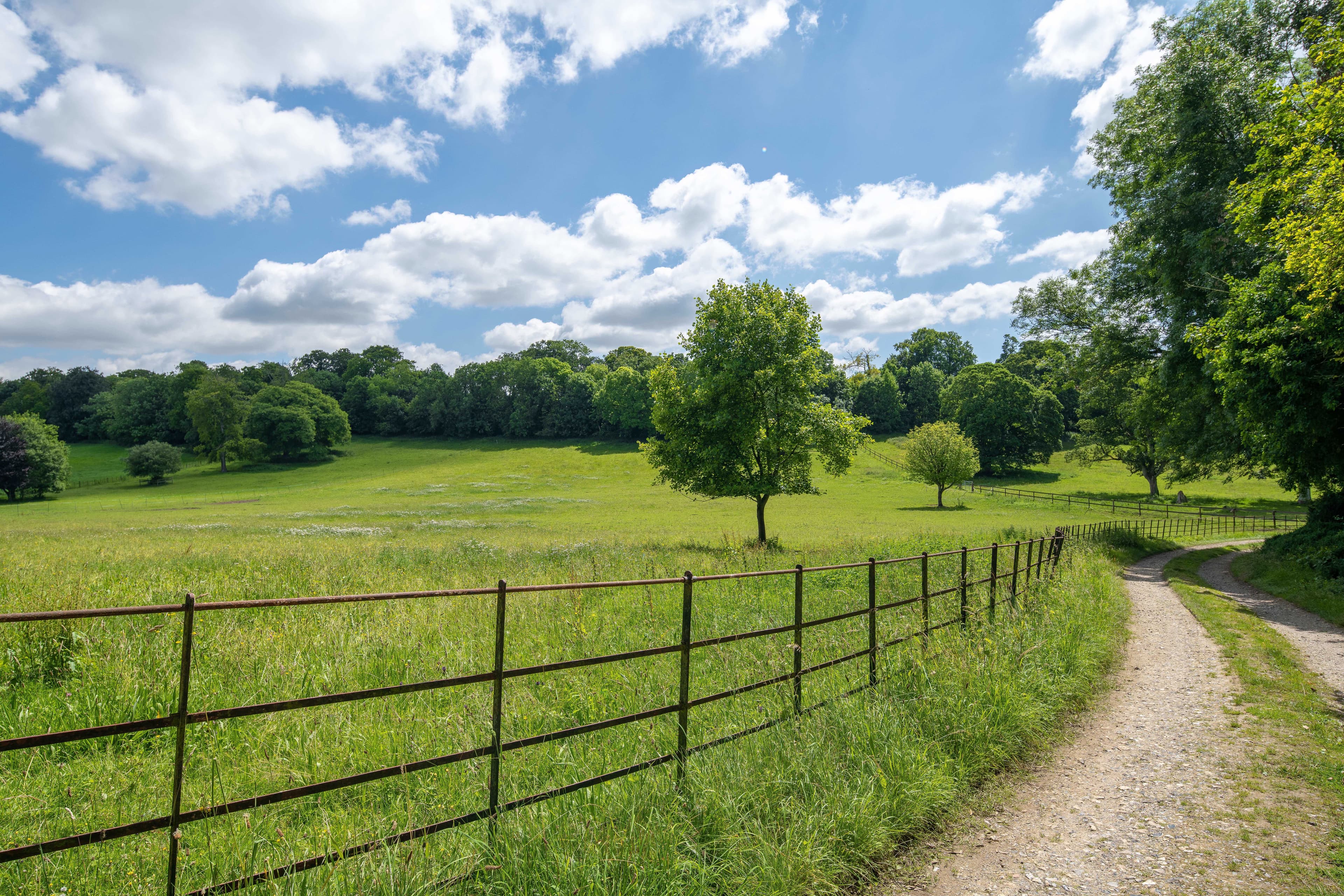 Exclusive Hire, Henge Estate photo #41