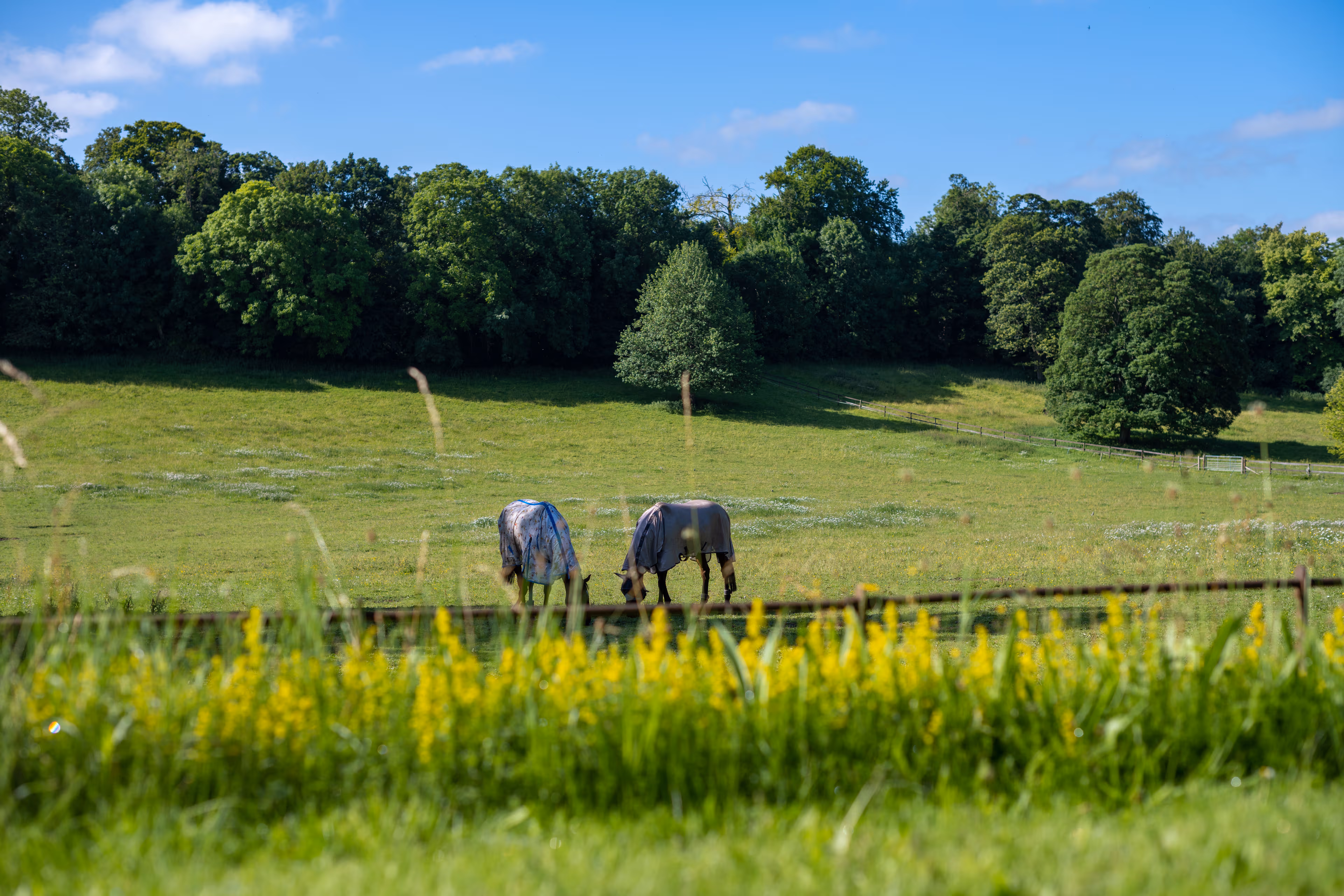 Exclusive Hire, Henge Estate photo #36
