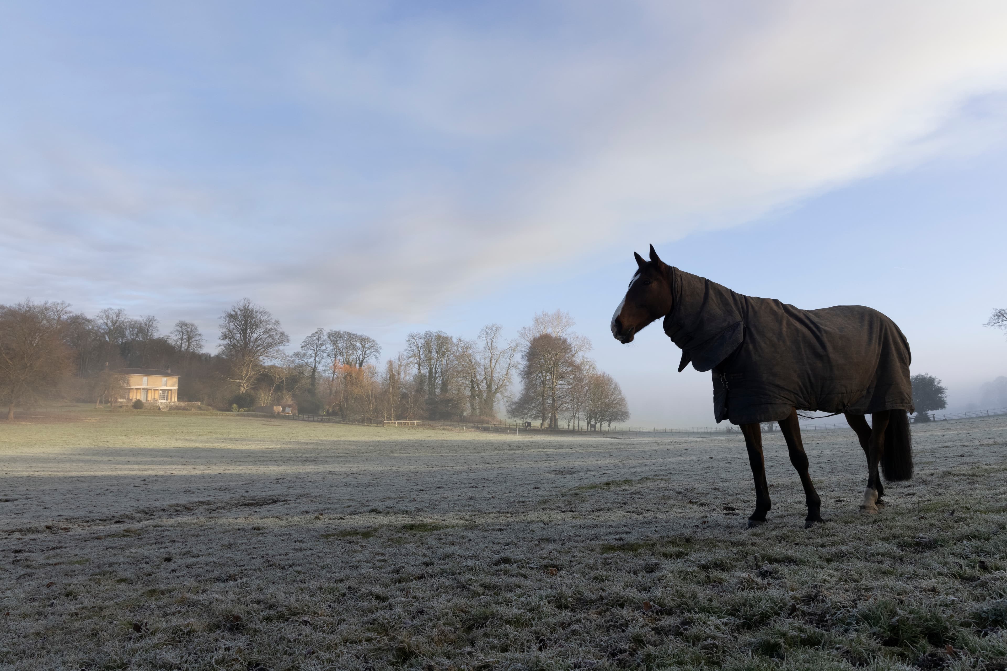 Exclusive Hire, Henge Estate photo #34