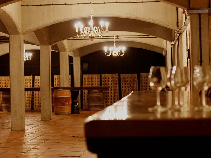 Photo of Denbies Wine Estate, The Cellars