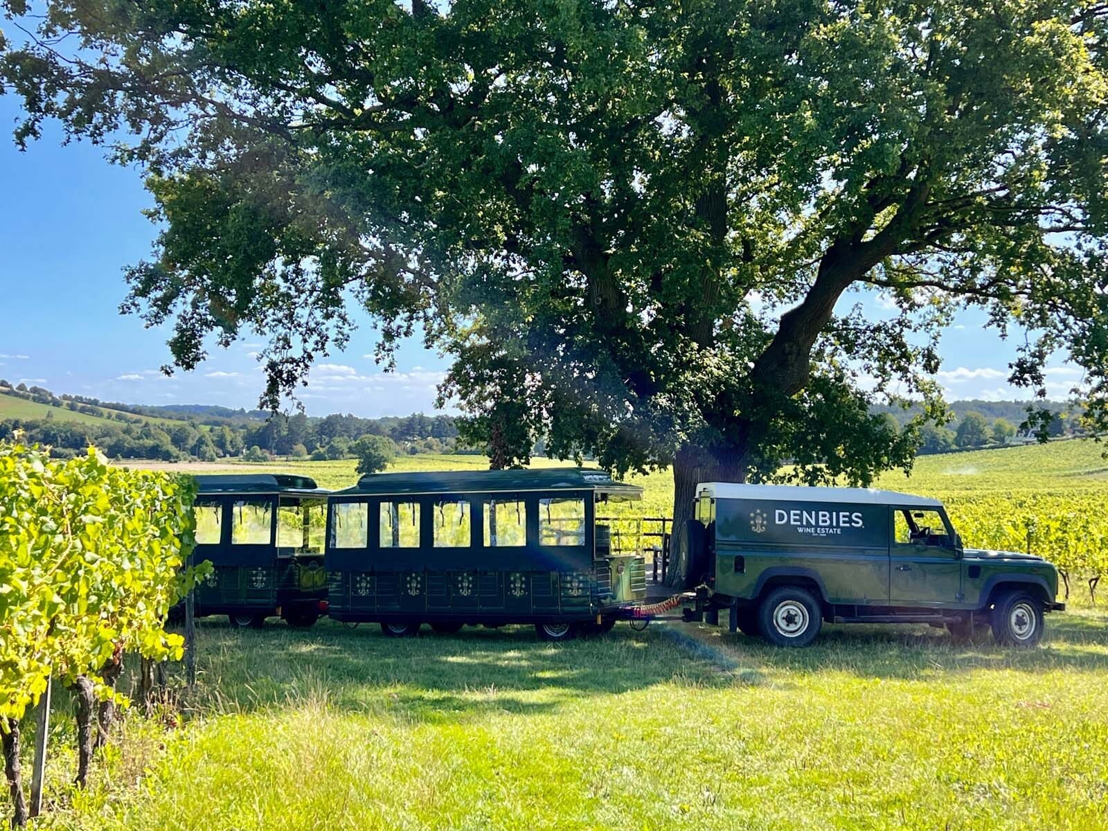 Photo of Denbies Wine Estate, The Denbies Suite