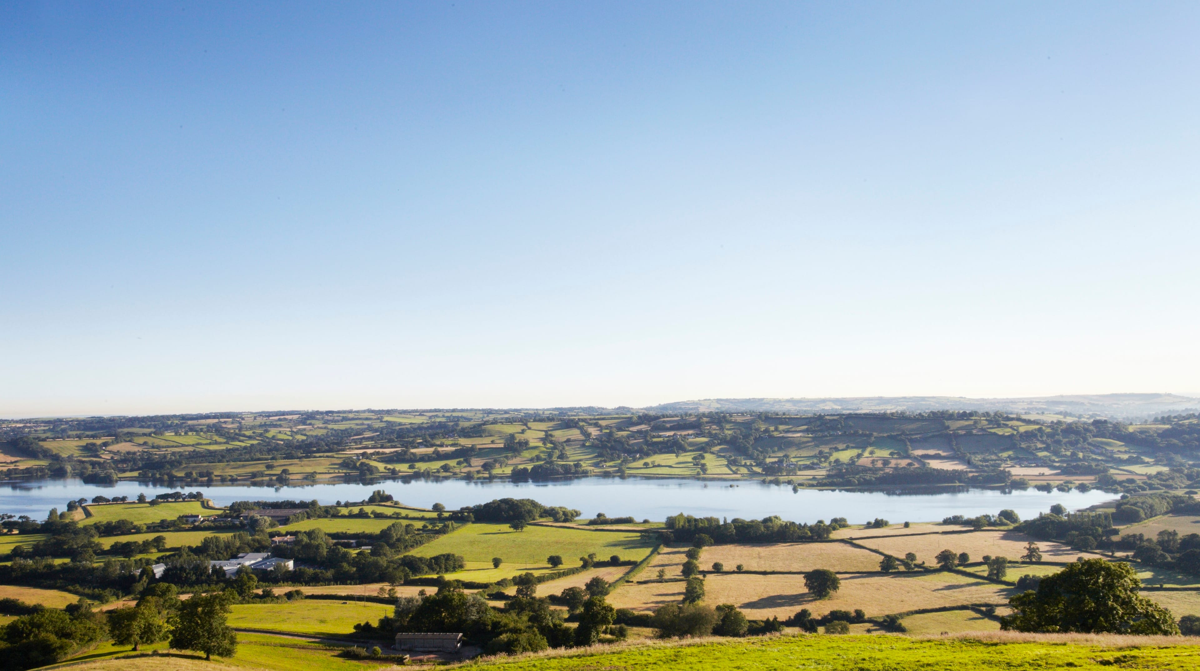 Photo of Yeo Valley, Cow Room