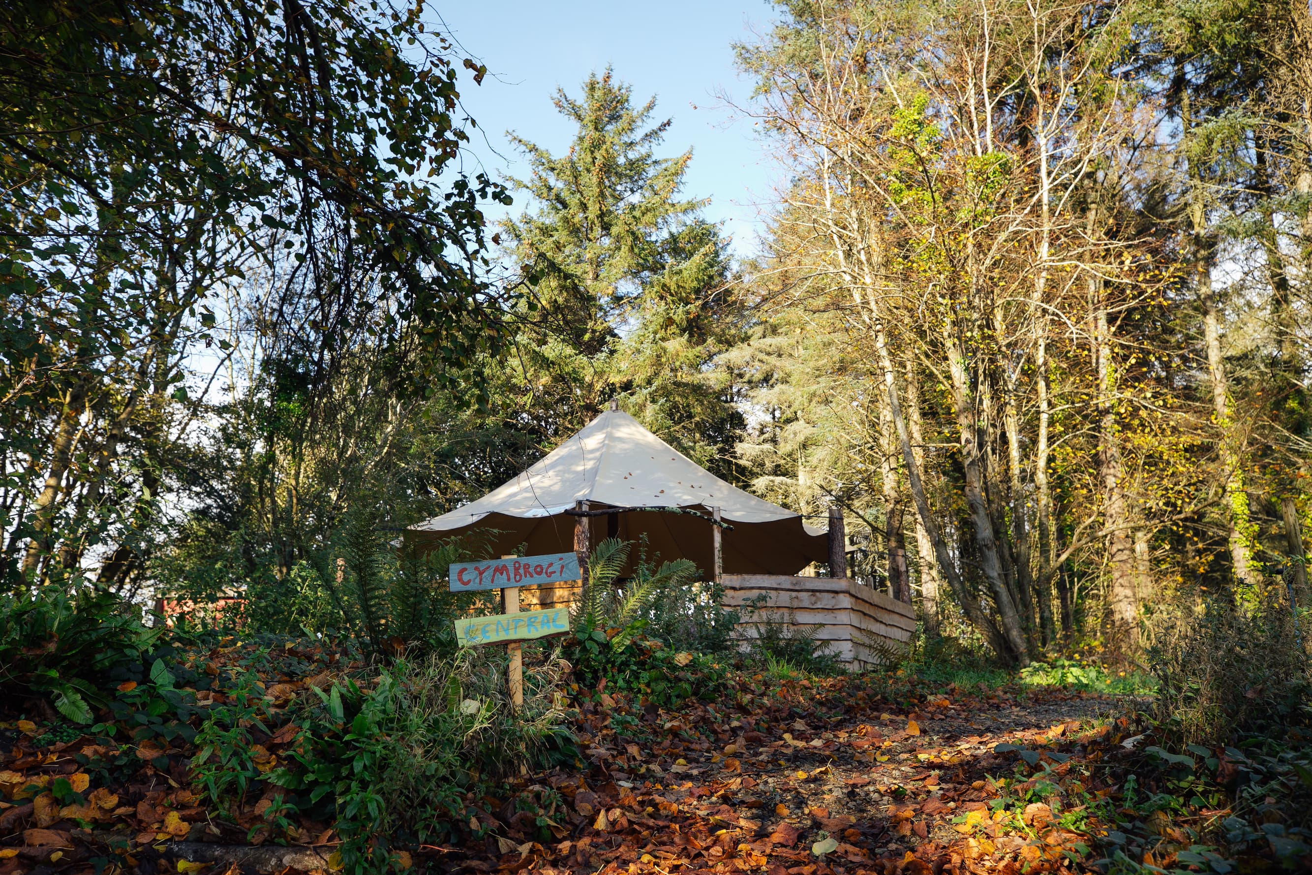 The Old Castle Site, Lawrenny Park Retreats photo #6