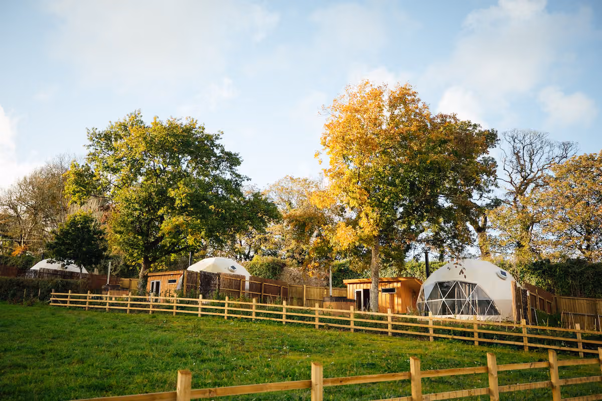 The Domes, Lawrenny Park Retreats photo #7