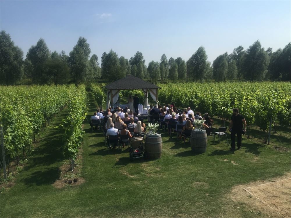 Photo of West Street Vineyard, Exclusive Hire