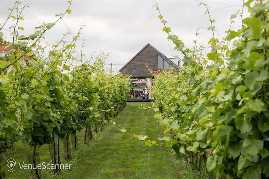 Exclusive Hire, West Street Vineyard photo #1