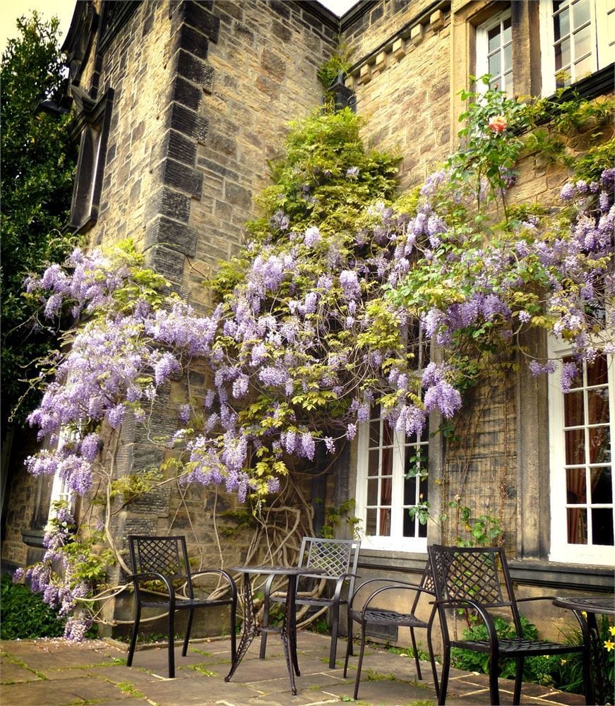 Photo of Hoyle Court, Exclusive Hire