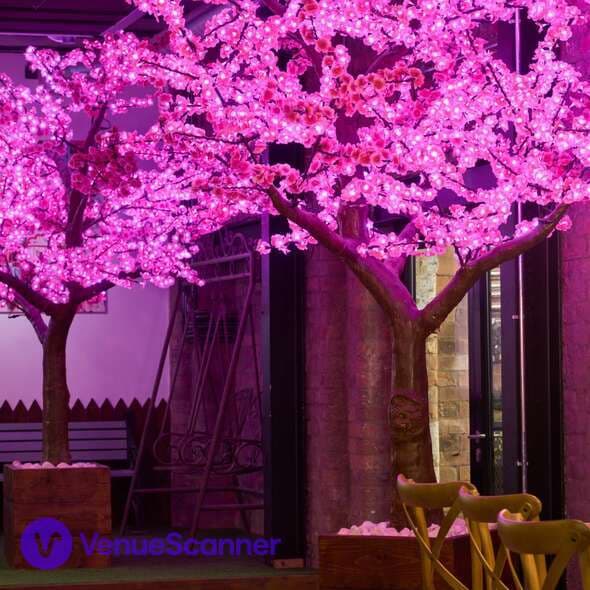 Lily’s Lounge, Blackstock Market photo #34