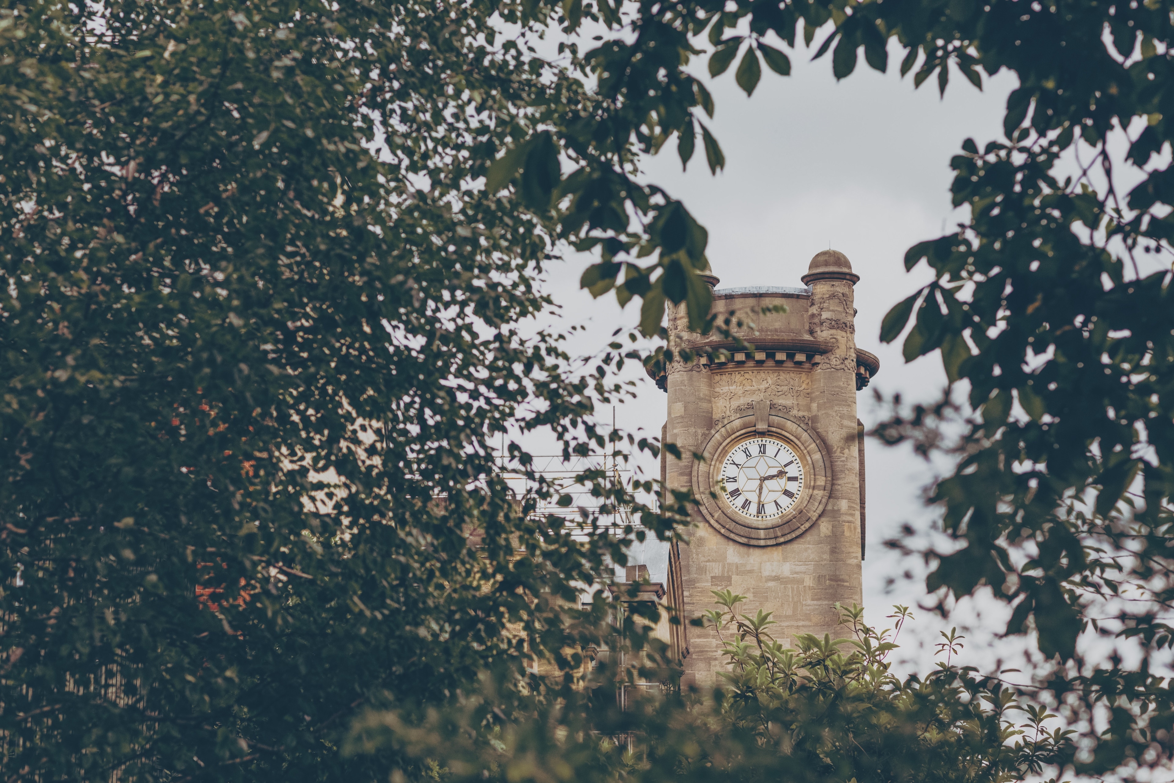 Photo of Horniman Museum And Gardens, Horniman Conservatory