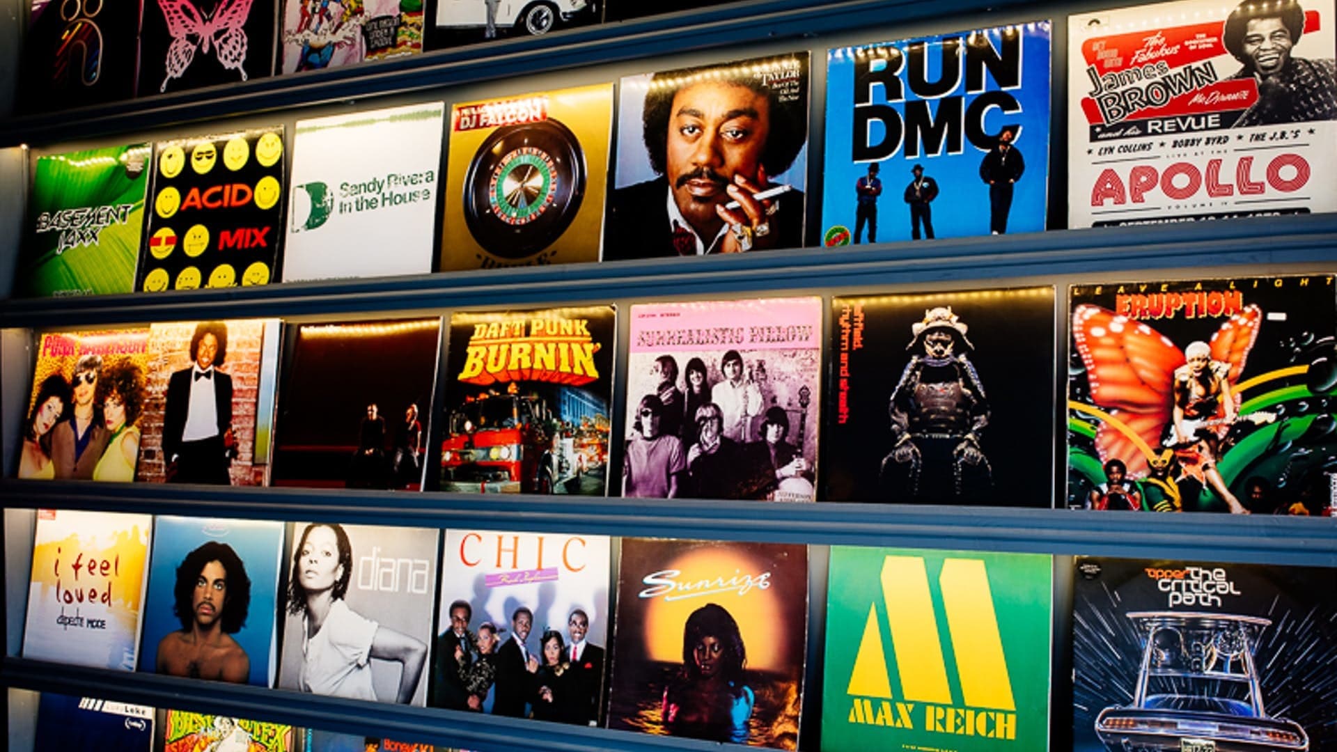 Vinyl Room, Rubio photo #3