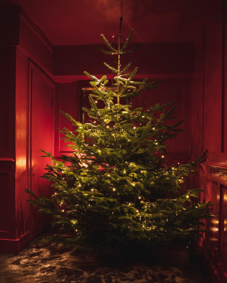 Fivefourstudios, Christmas Parties, undefined photo #11