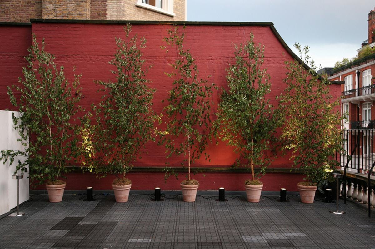 Photo of Kent House Knightsbridge, Roof Terrace