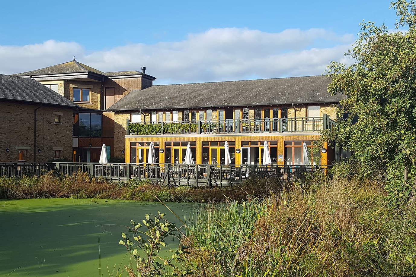 Water's Edge Room, WWT London Wetland Centre photo #8