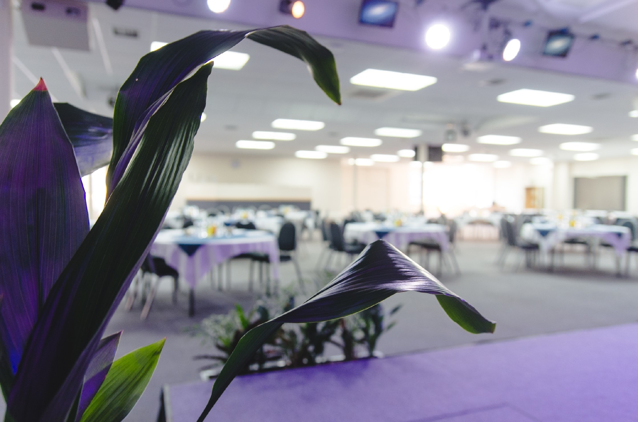 Photo of King's House Conference Centre, Auditorium