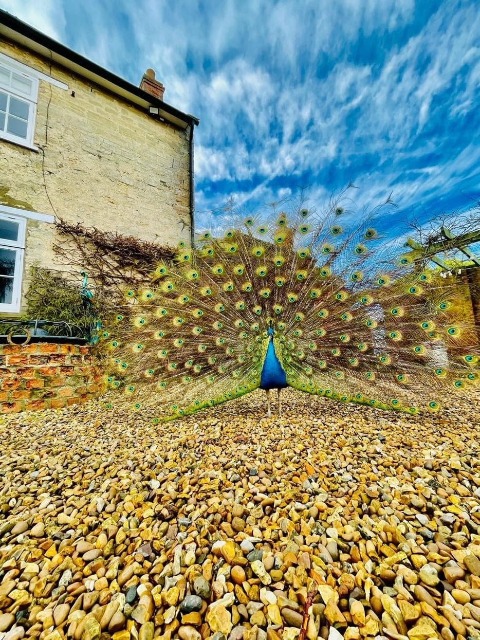 Exclusive Hire, Eastfields Farm Barns photo #19