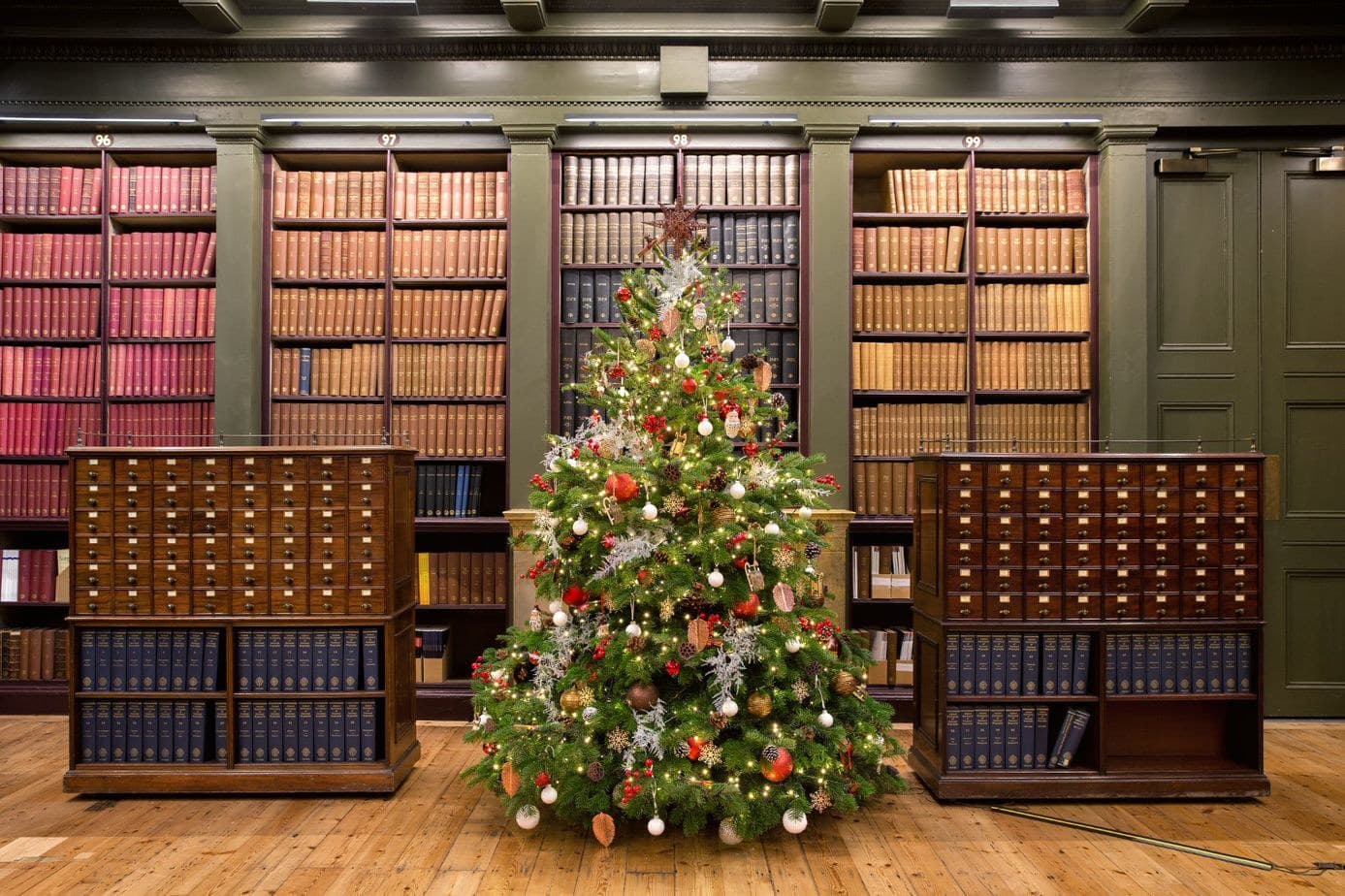 The Library, The View photo #12
