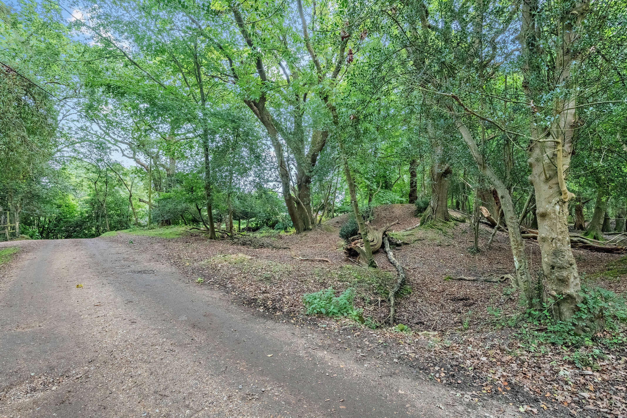 Photo of New Forest Lodge, Exclusive Hire