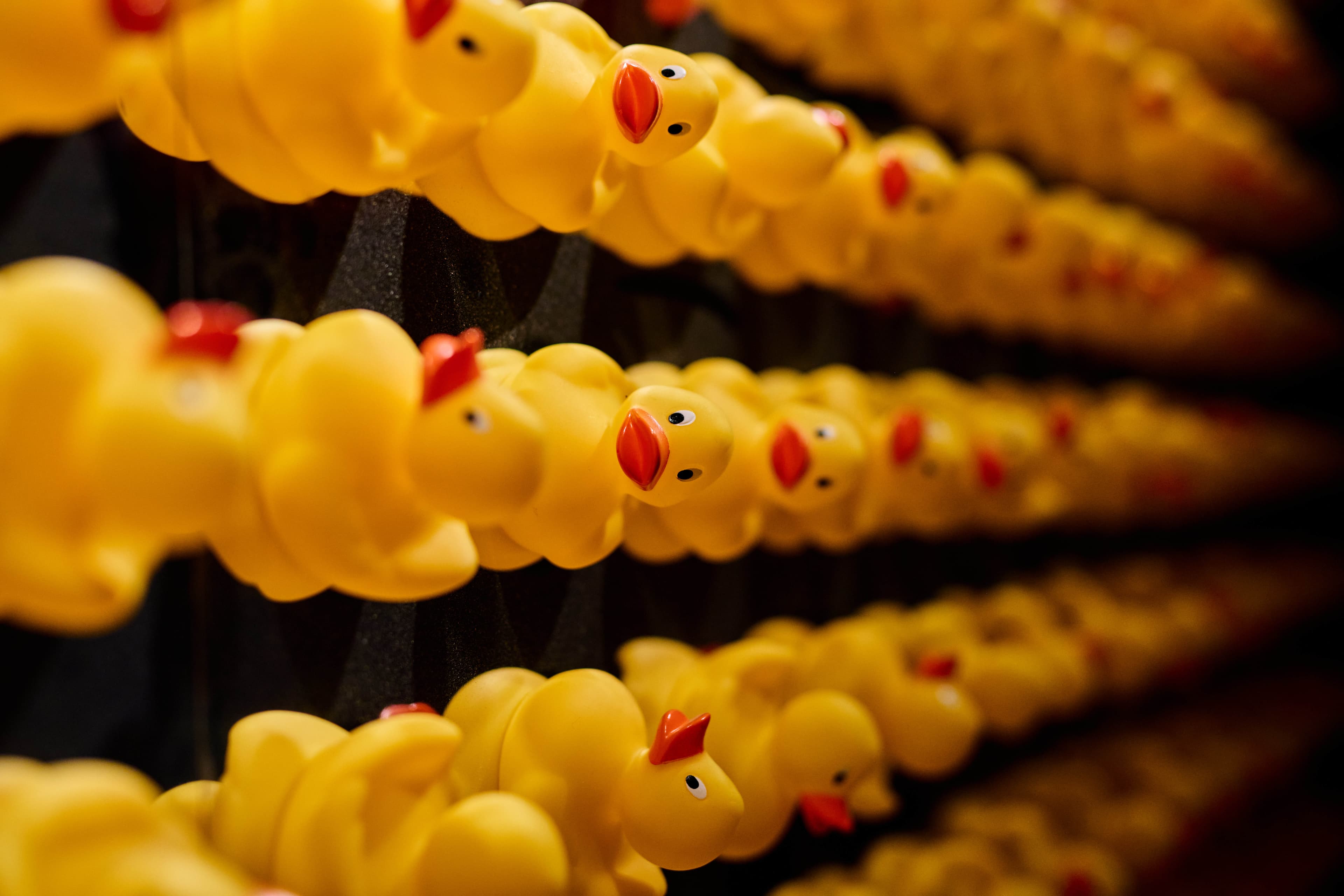 Exclusive Hire, Fairgame Canary Wharf photo #29