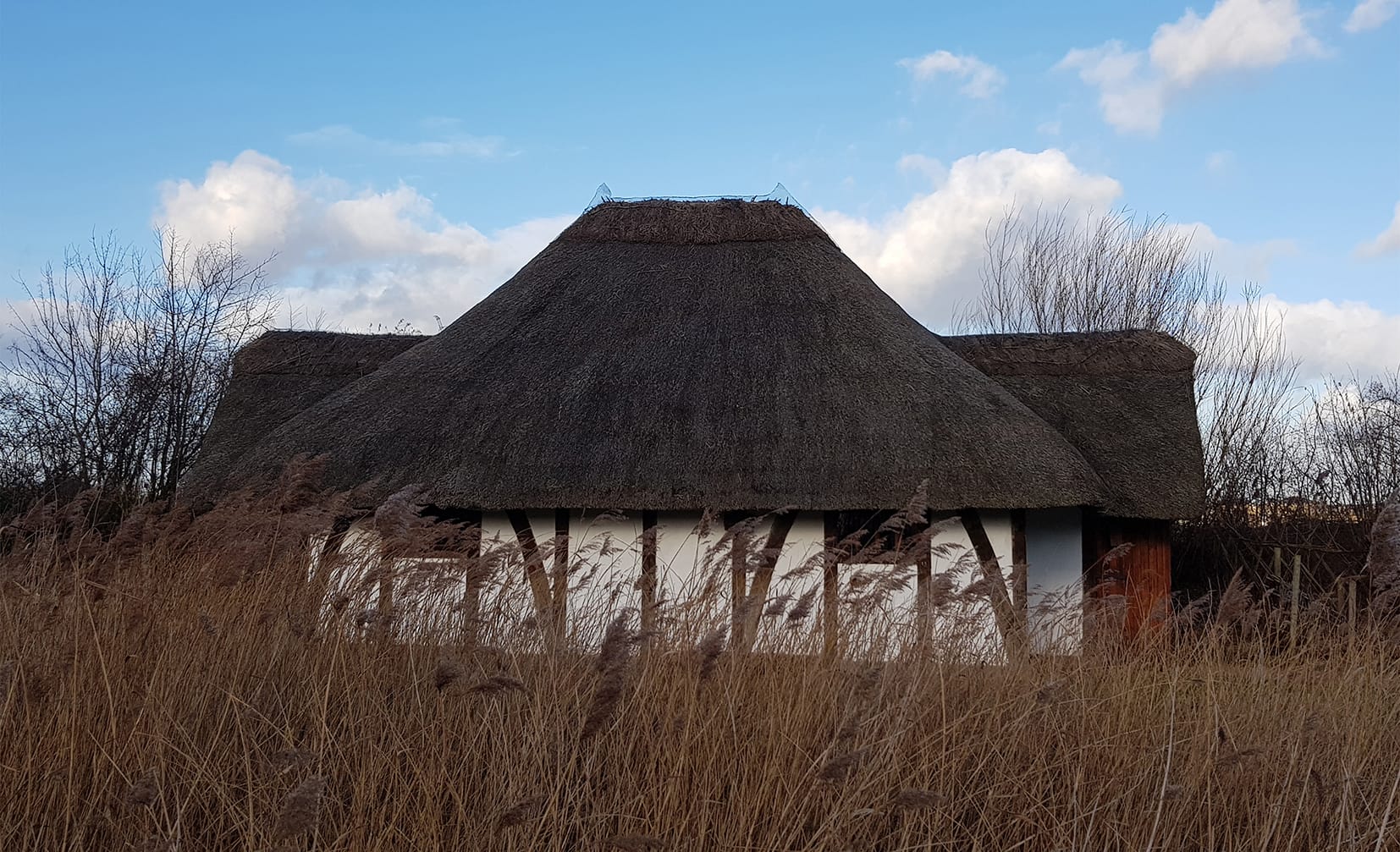 Photo of WWT London Wetland Centre, Wetland Living (Outdoor)