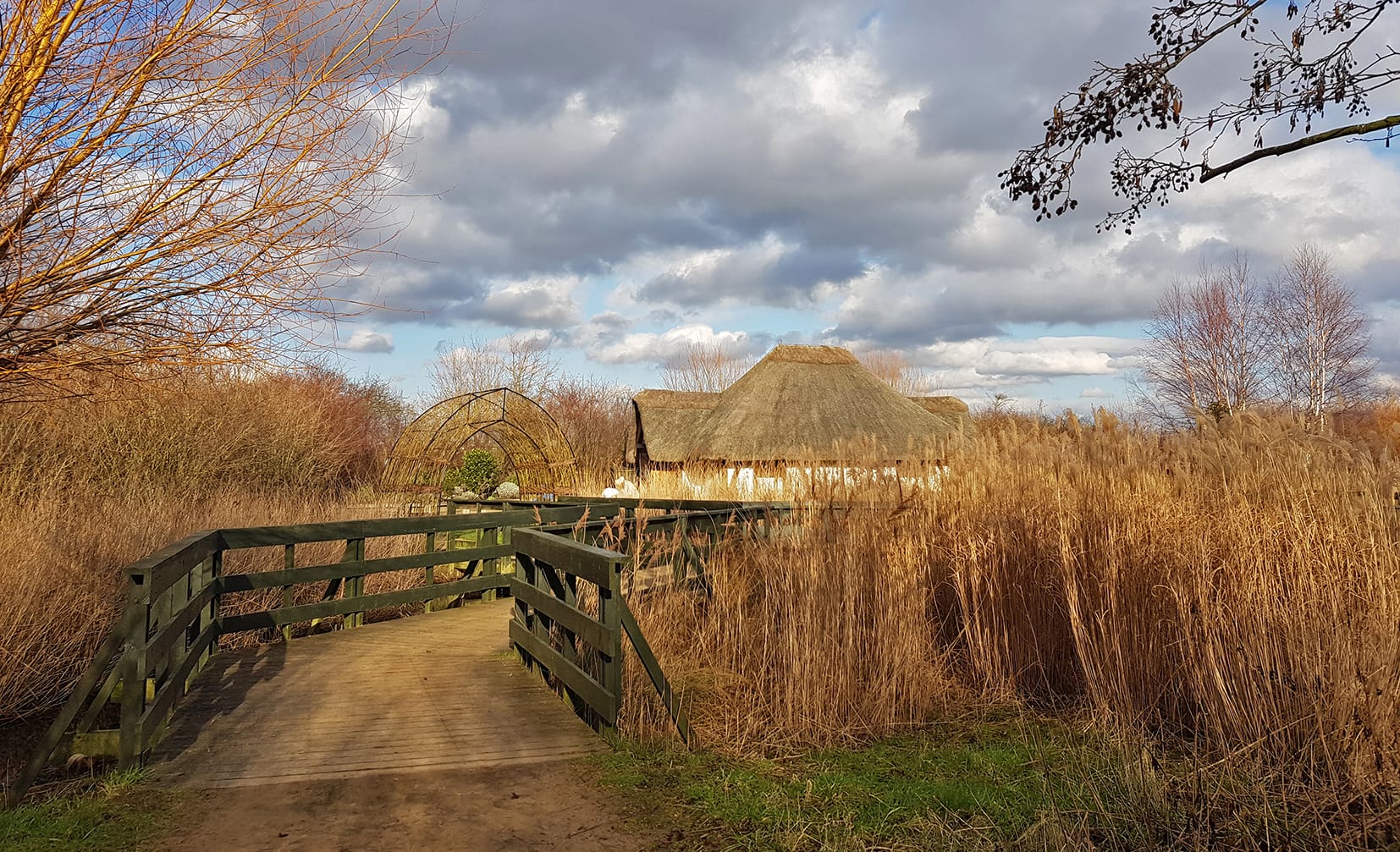 Photo of WWT London Wetland Centre, Wetland Living (Outdoor)