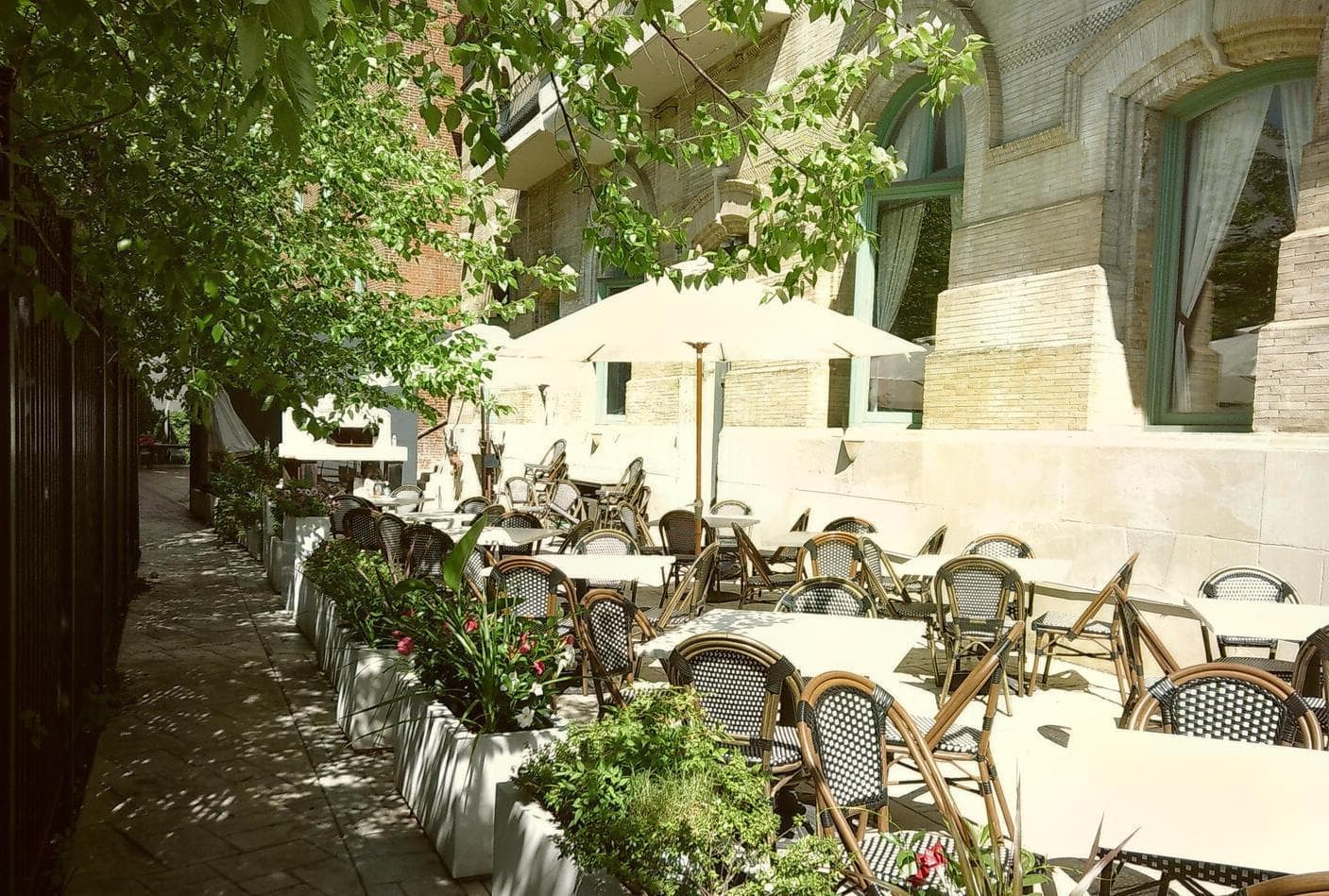 Cicala Patio, Cicala at The Divine Lorraine photo #1