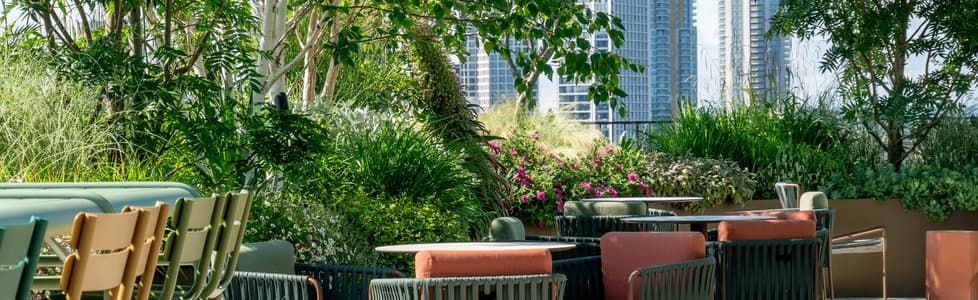 Borough, Flex @ Tide photo #5