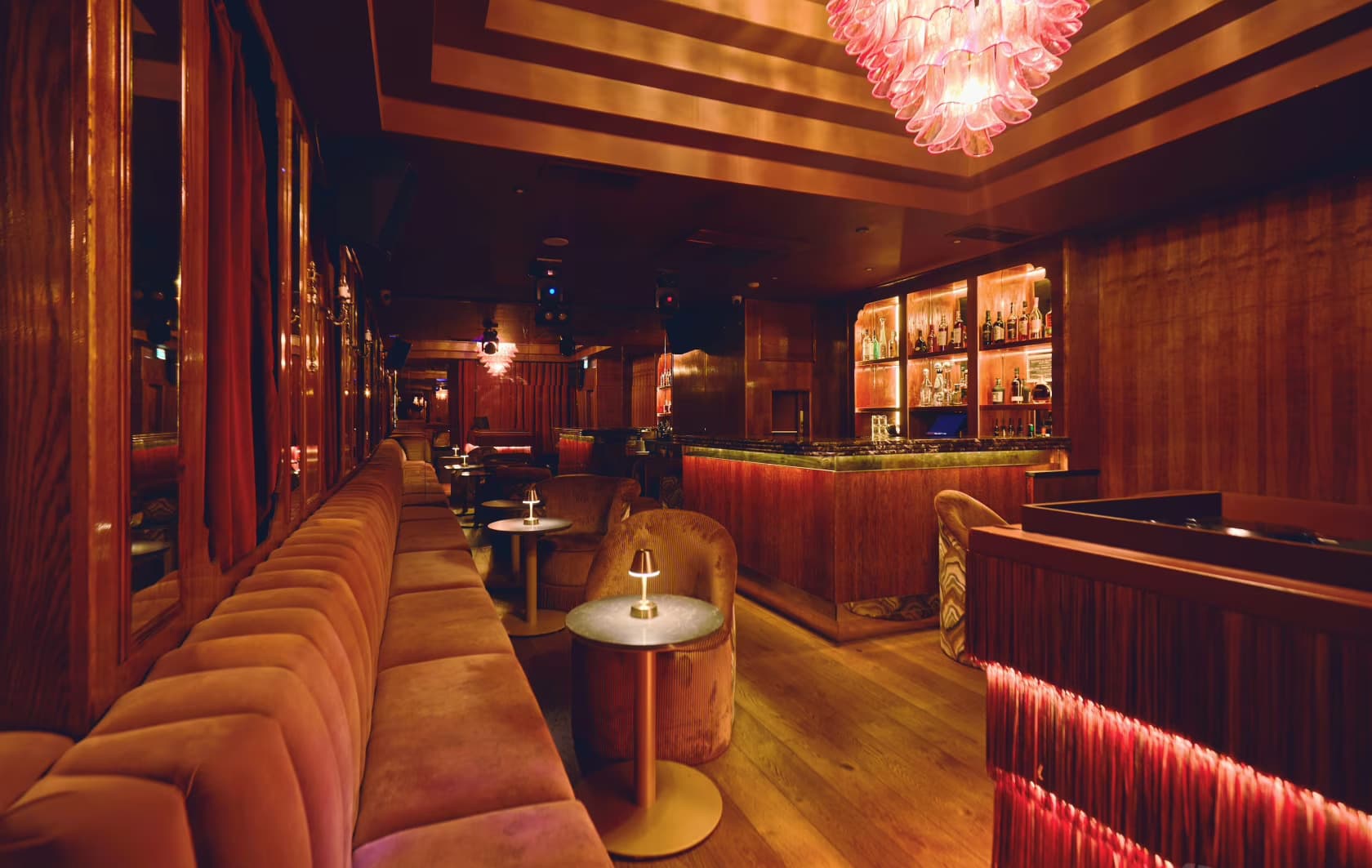 Late Lounge, Selene Nightclub photo #3