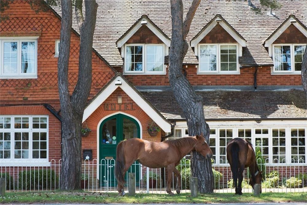 Photo of Beaulieu Hotel, Exclusive Hire