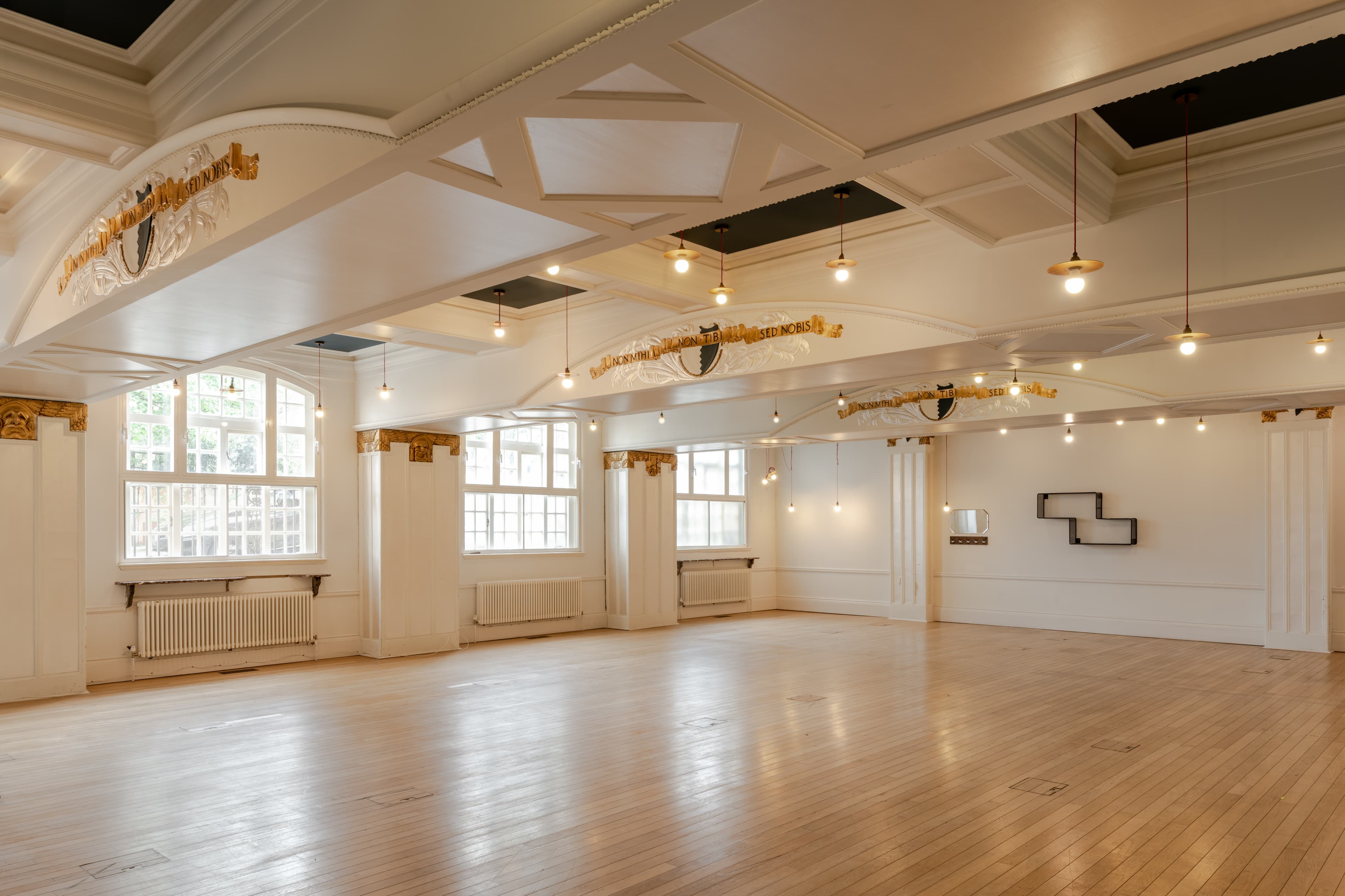 Lower Hall Suite, Battersea Arts Centre photo #4