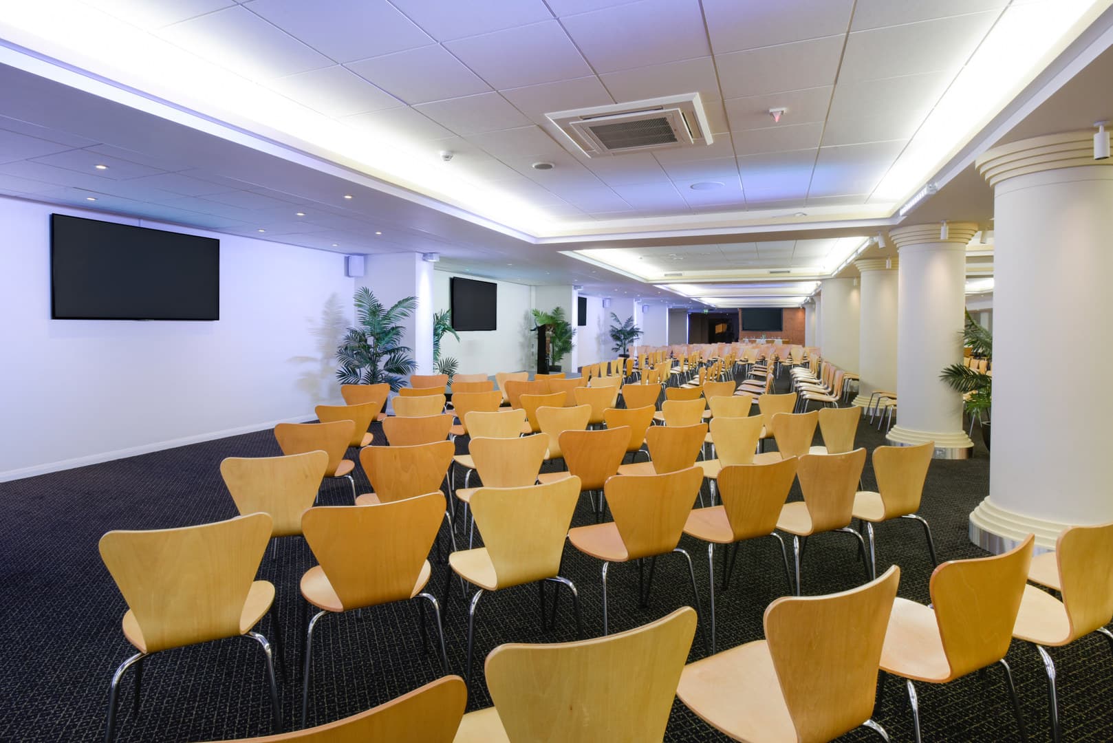 Gunn Club, Norwich City Football Club photo #3
