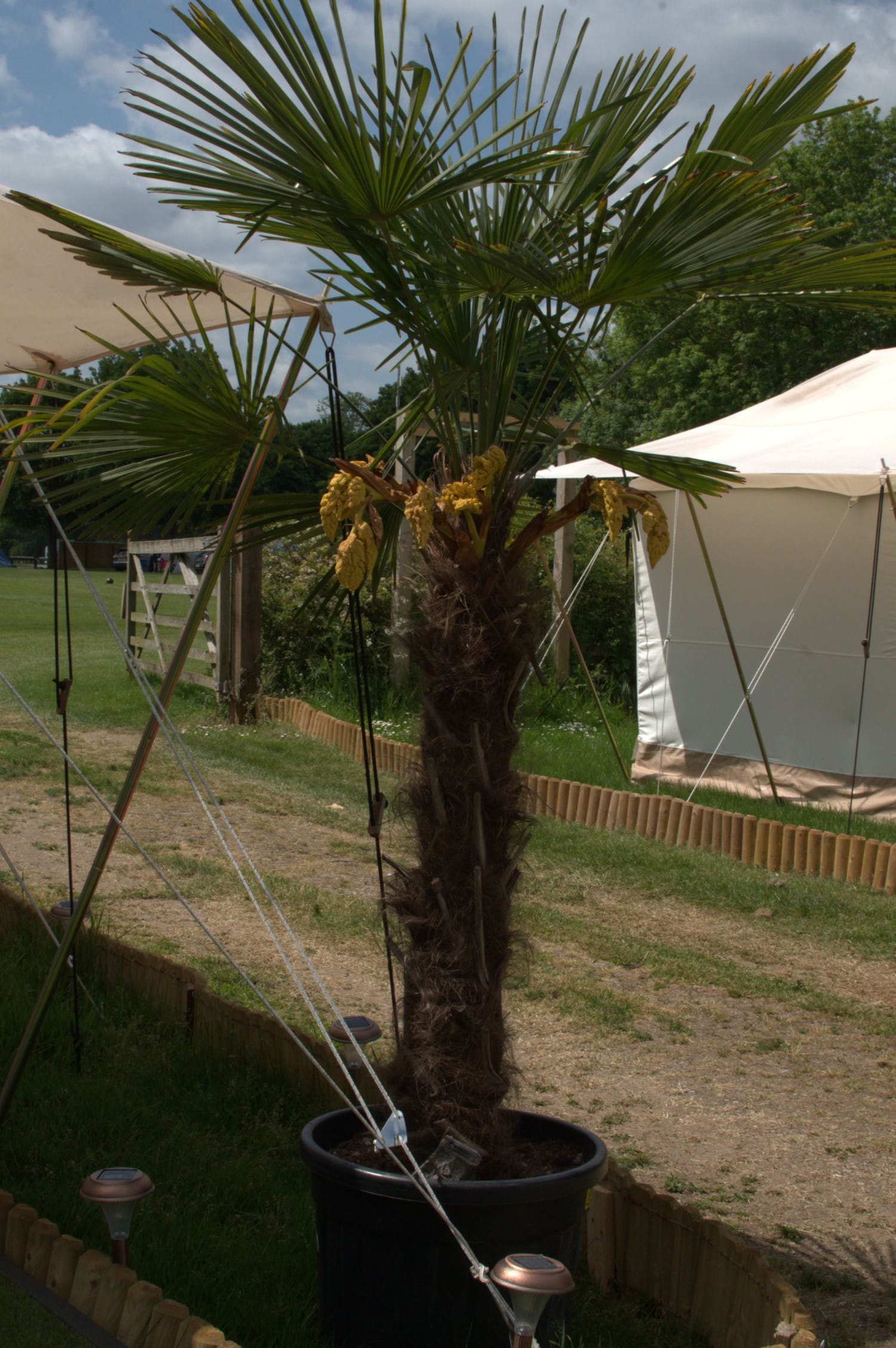 Photo of Bell Tent Villages, Exclusive Hire