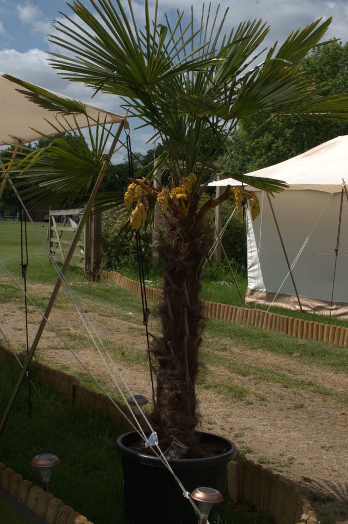 Exclusive Hire, Bell Tent Villages photo #23
