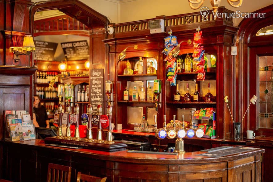 Function Space, Forester photo #7