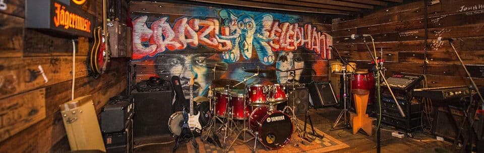 Exclusive Hire, Crazy Elephant photo #1