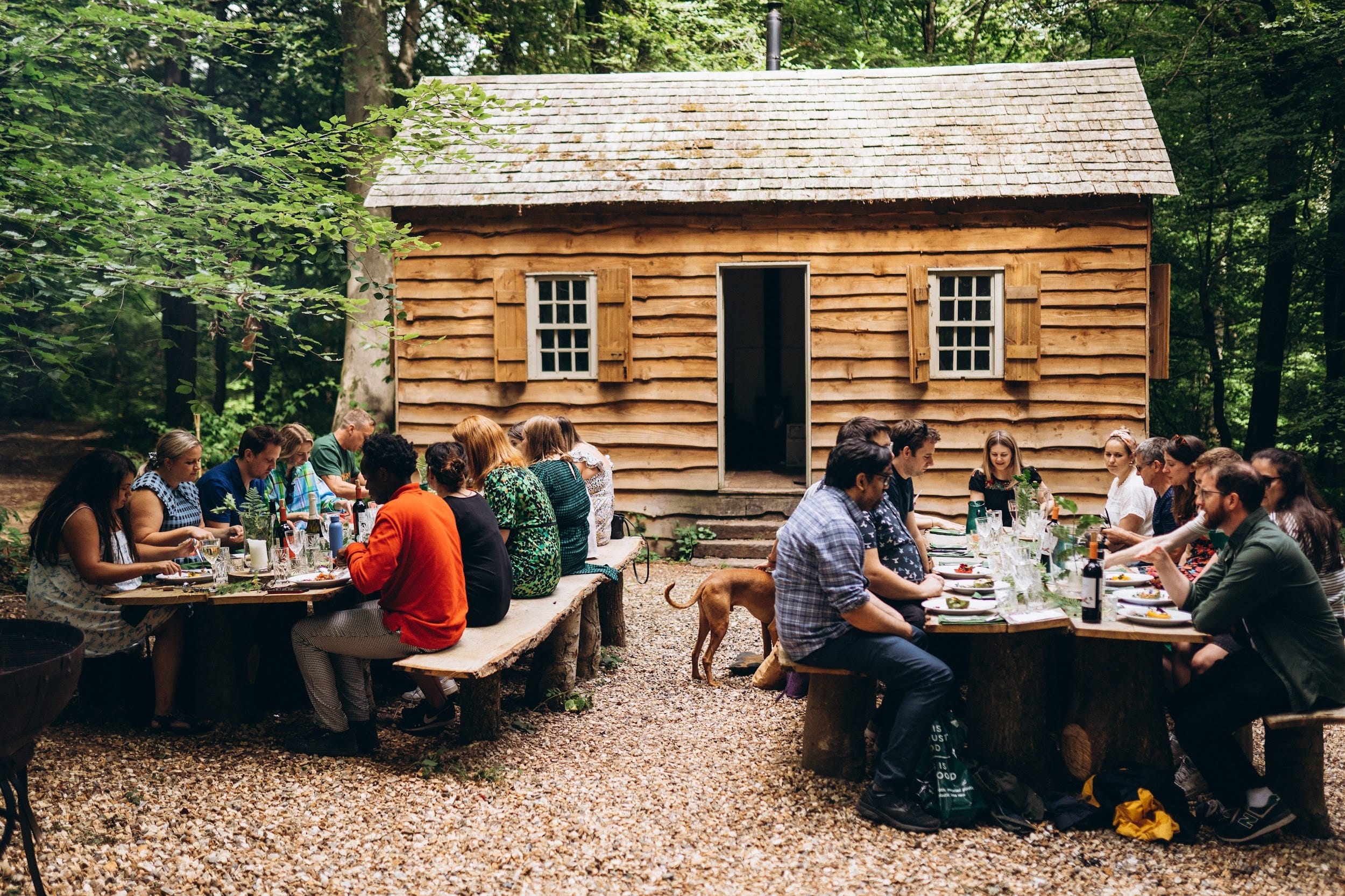 Photo of The Secret Woodland, Private Hire
