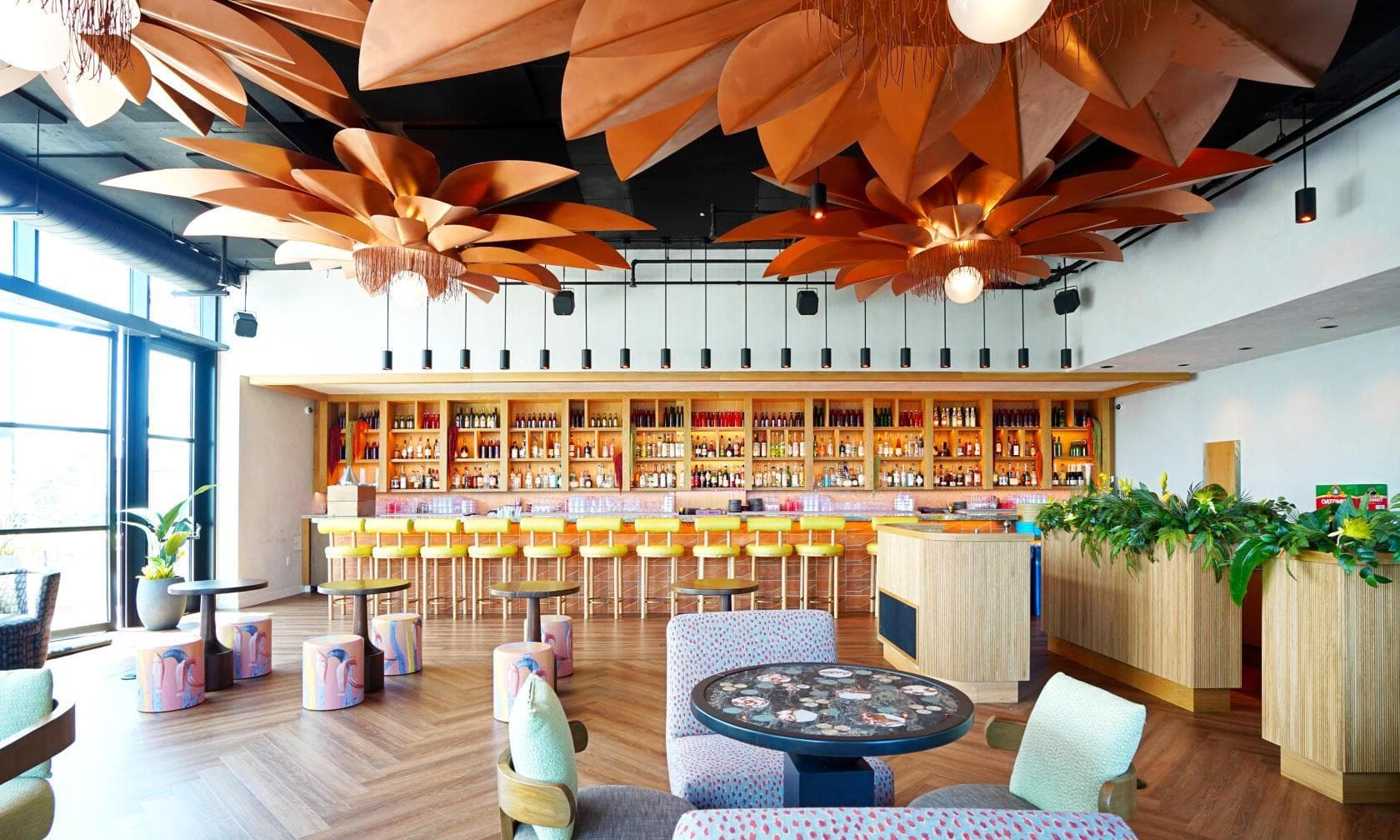 Entire Venue, MX Rooftop photo #1