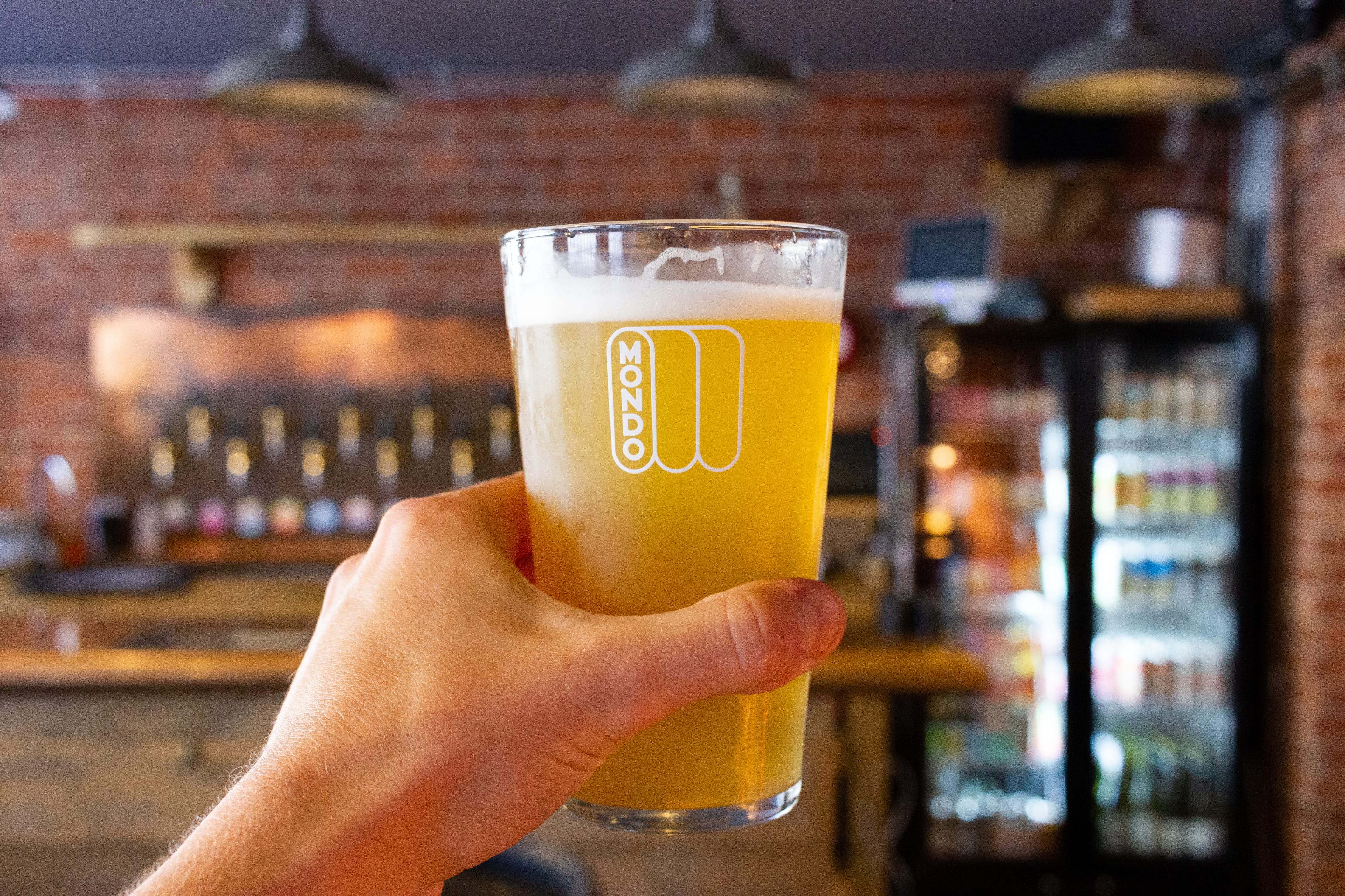 Photo of Mondo Brewing Company, Tap House