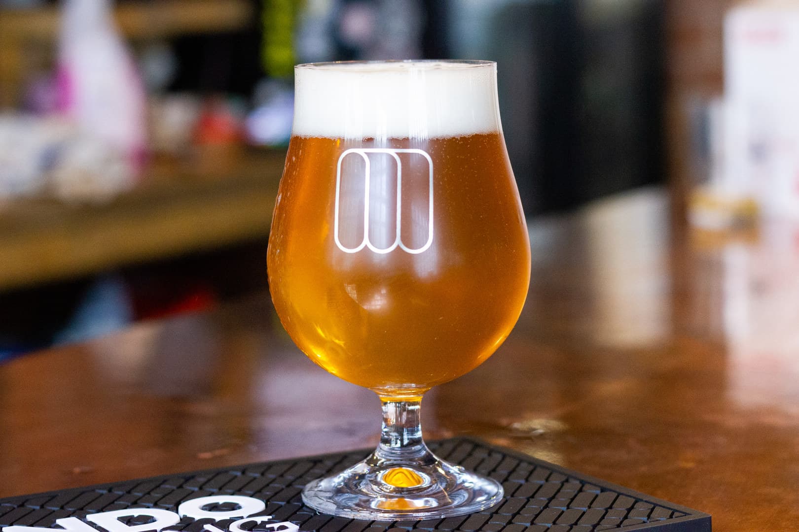 Tap House, Mondo Brewing Company photo #2